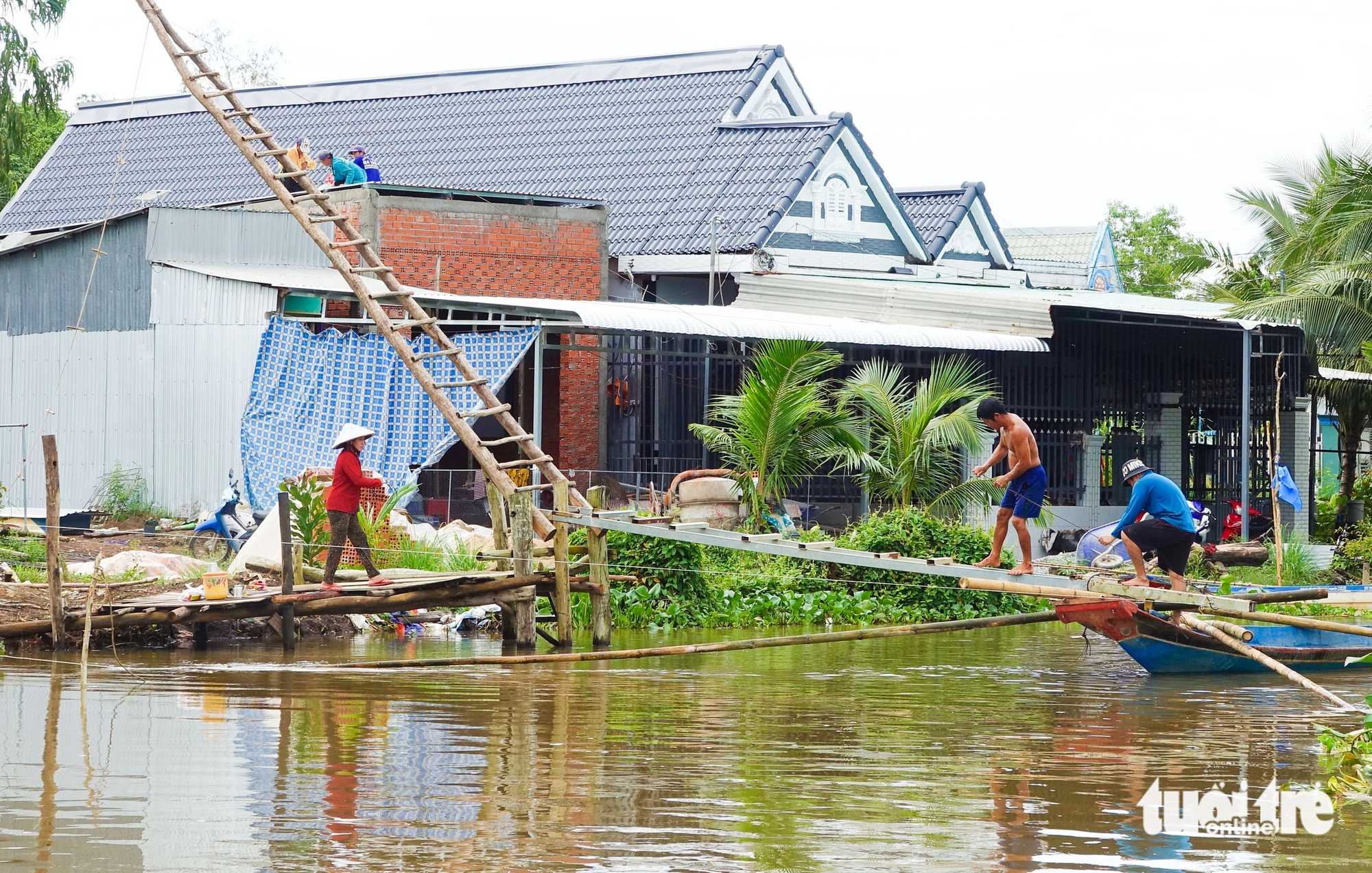 西部居民在洪水季节用网兜捕捉河流中的野生鱼