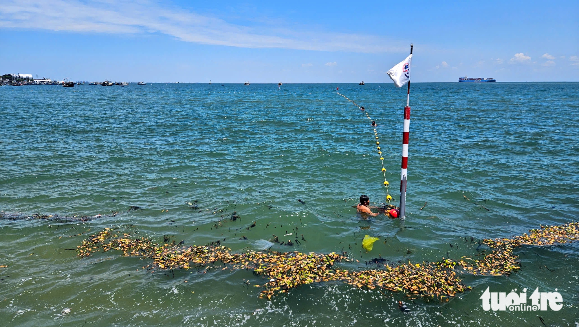 层层塑料垃圾随水葫芦漂入头顿海滩