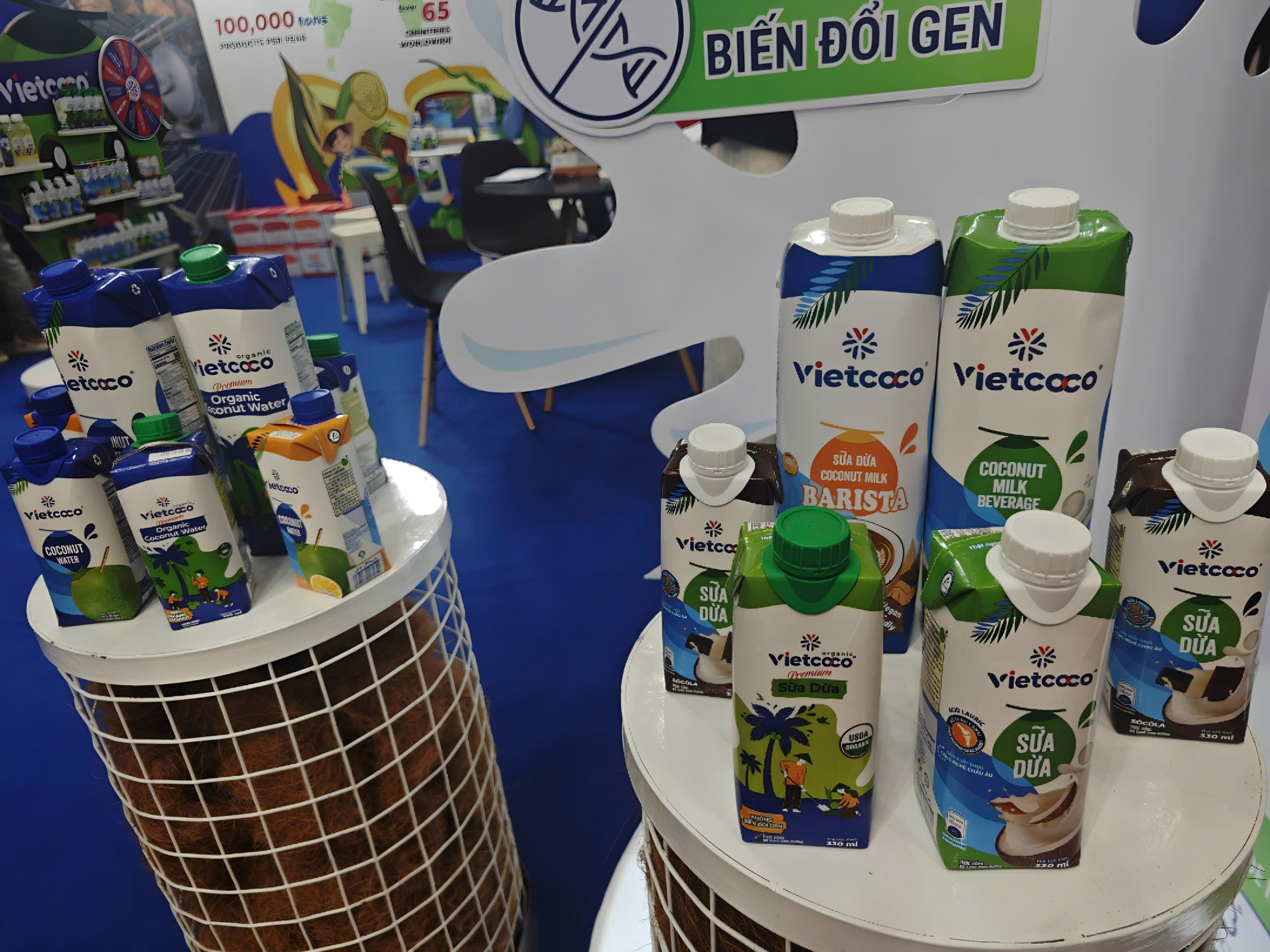 槟椥椰子出口65个国家，国际客户追捧绿色产品