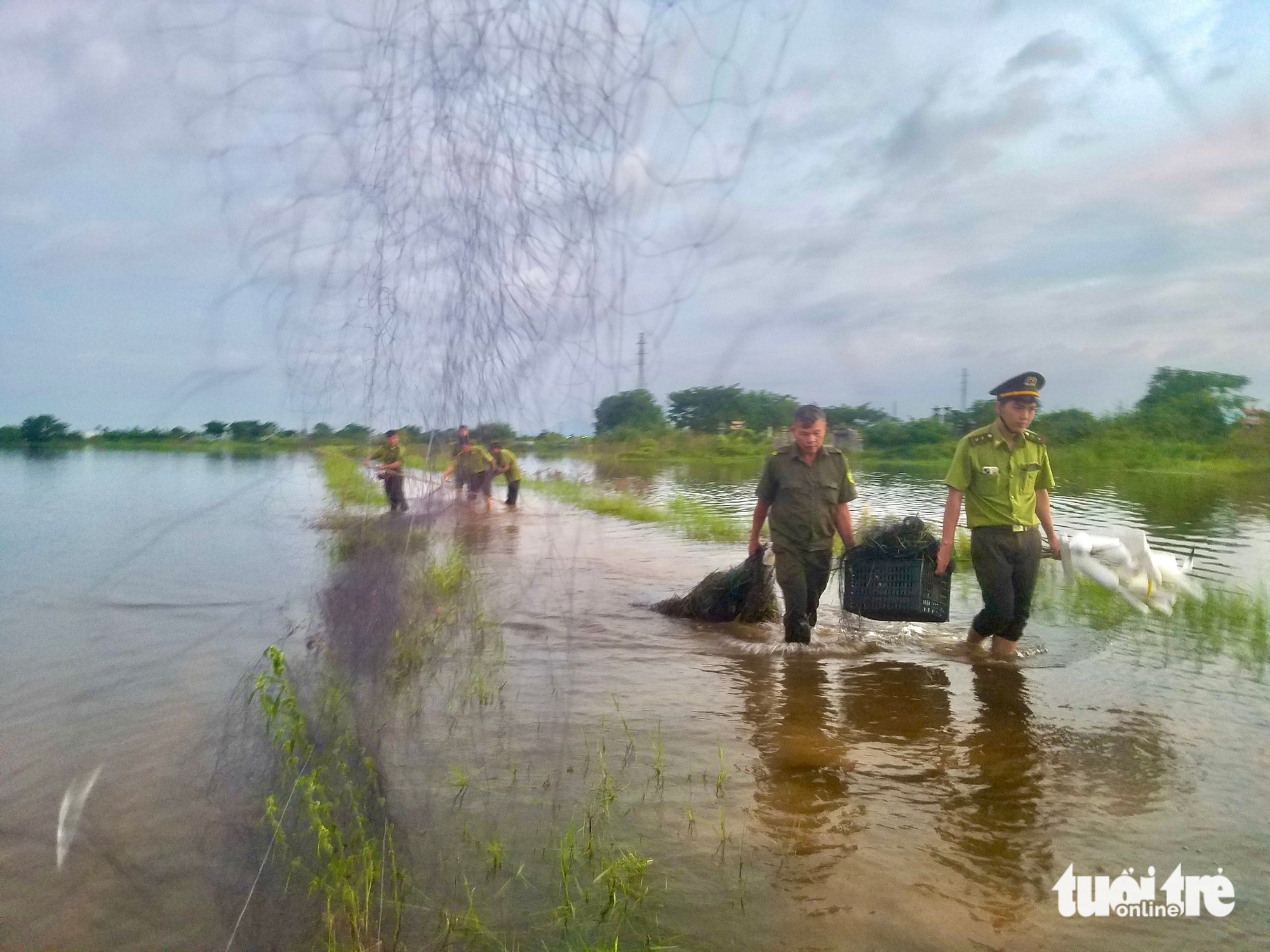鸟类在迁徙路上的悲惨死亡