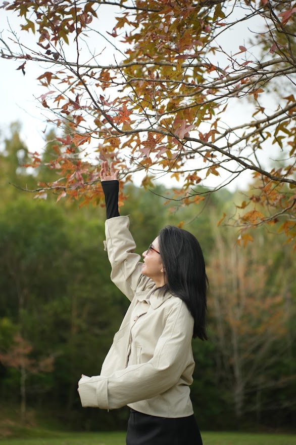 广治西部枫香叶换季的魅力