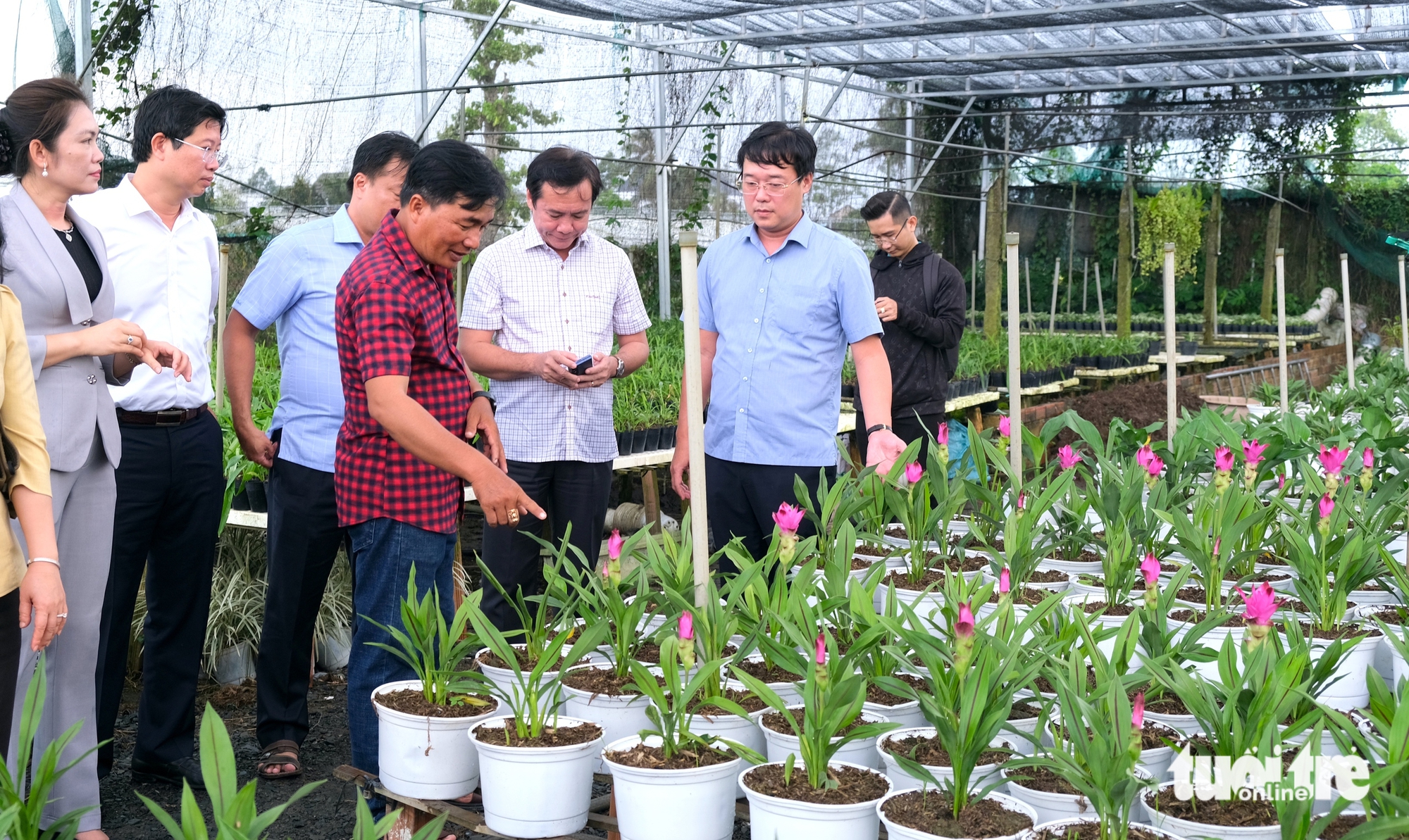 沙的园艺花卉节需为旅游和春节花卉市场创造‘推动力’
