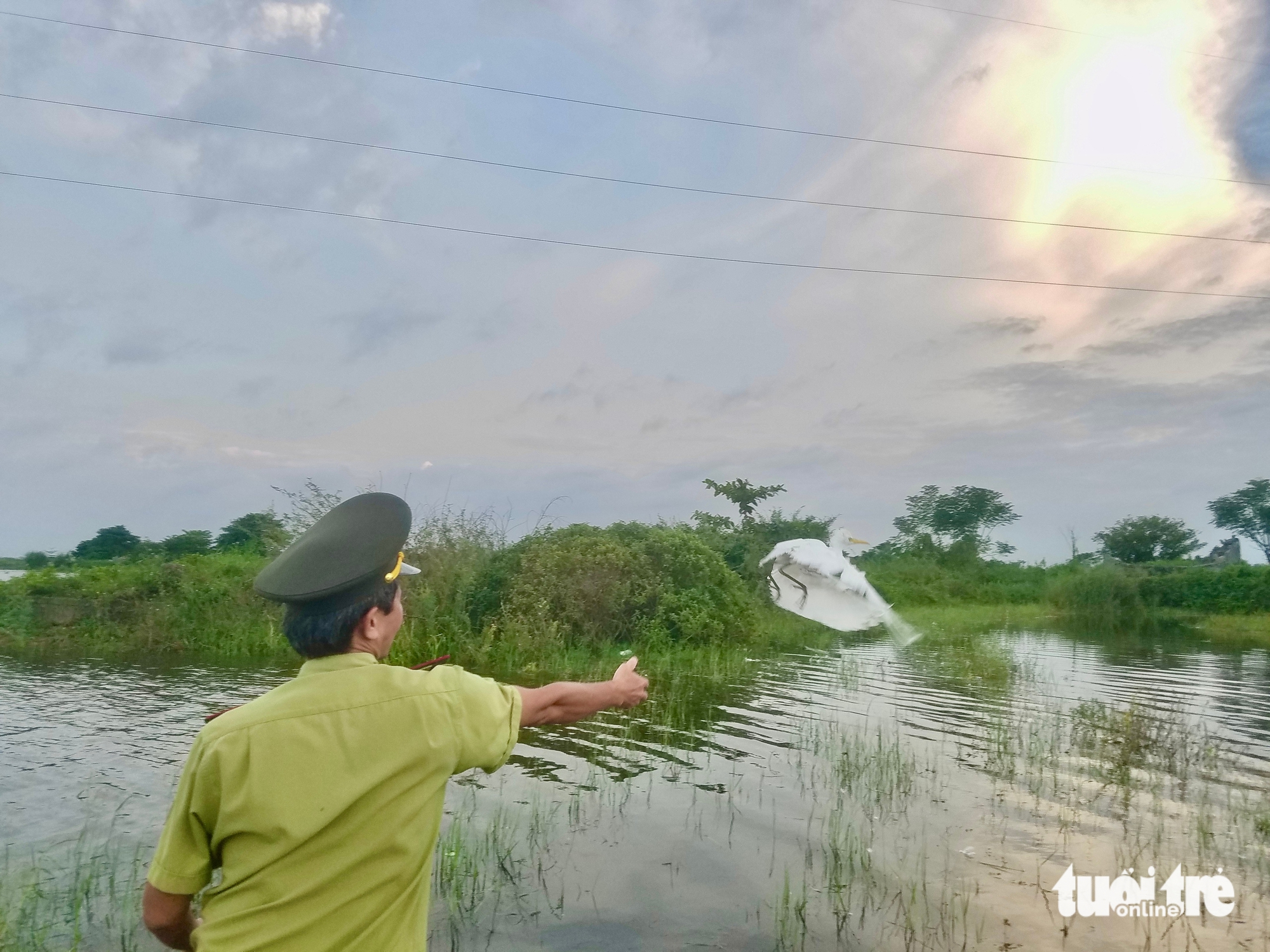 鸟类在迁徙路上的悲惨死亡