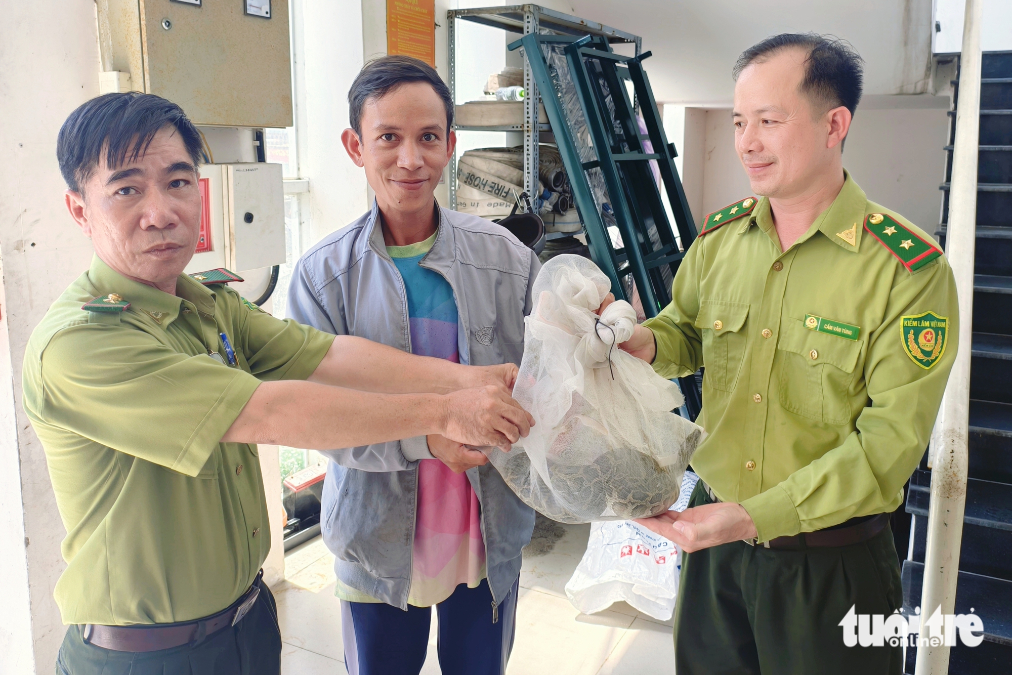 在捕鱼时发现稀有地蟒，胡志明市居民将其交给森林保护部门
