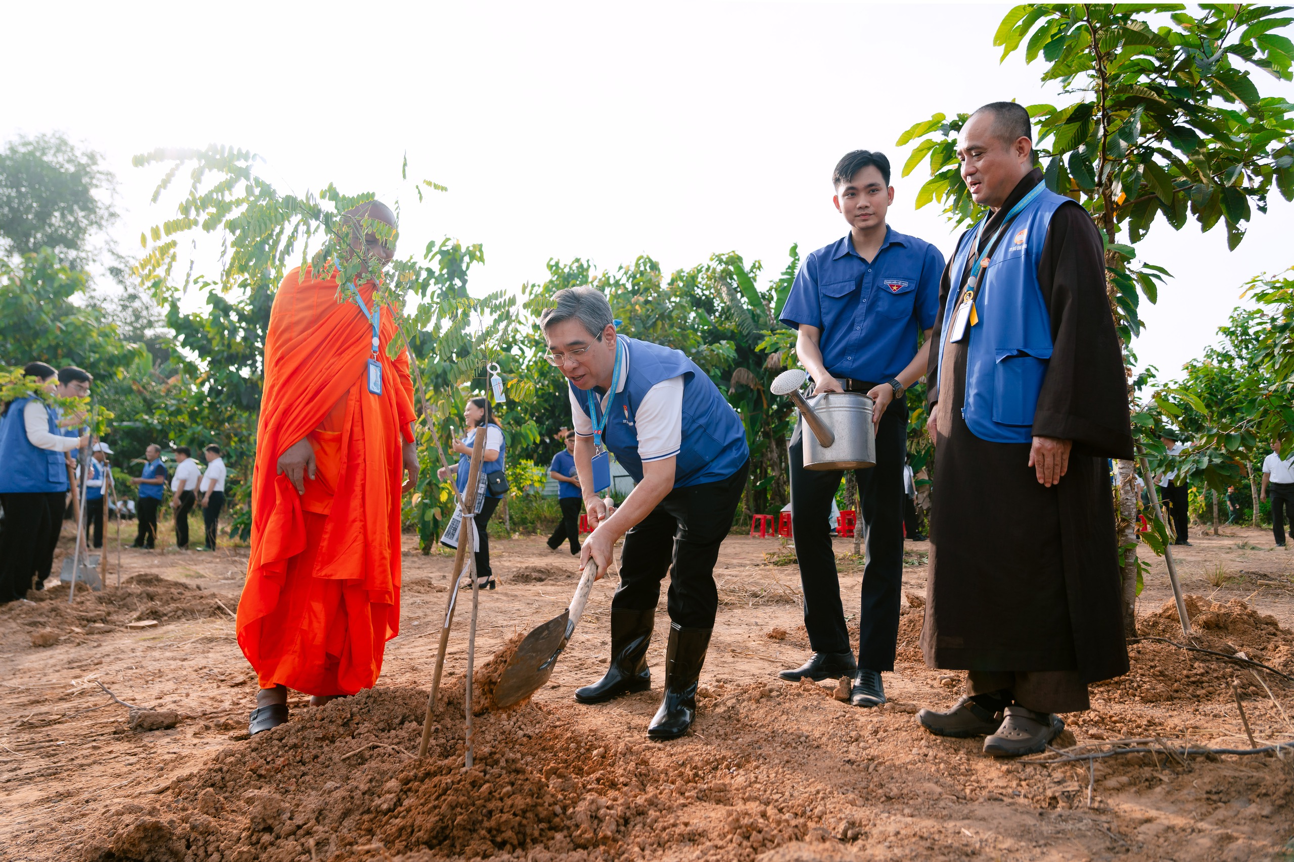 500名胡志明市越南祖国阵线代表种植绿树
