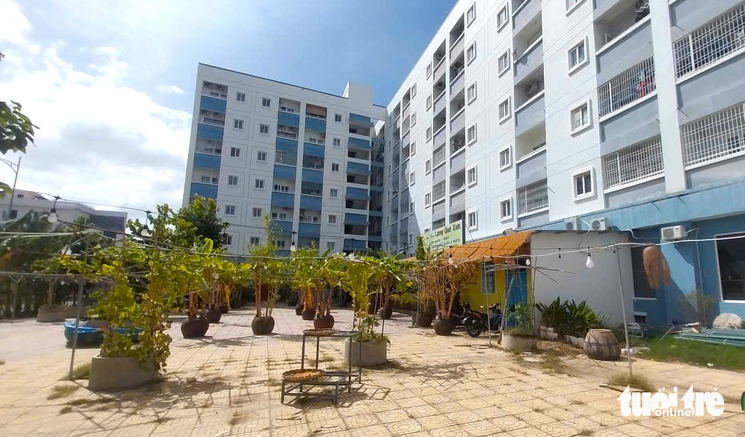 无视处罚，D7-D10公寓侵占企业被警告资产冻结