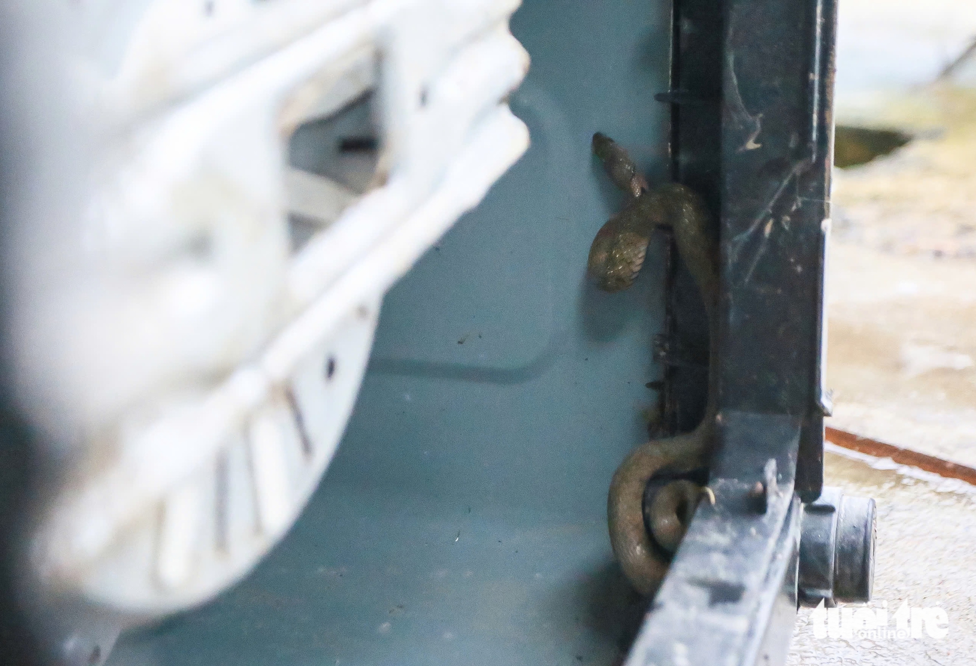 电子技师涉水至东和区，免费为乡亲修理冰箱和洗衣机