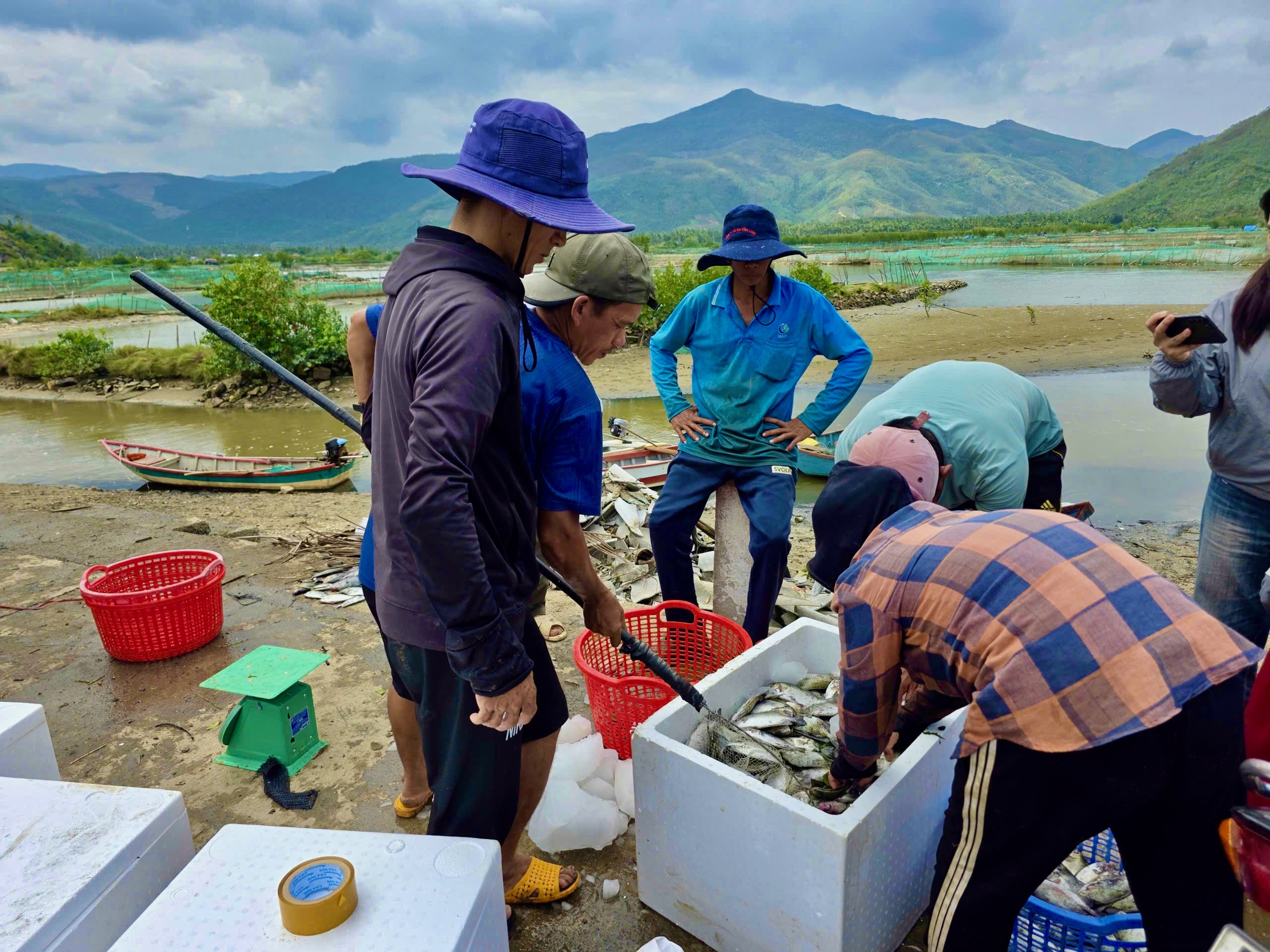 昆蒙湖养鱼者因台风后鱼全部死亡而痛哭