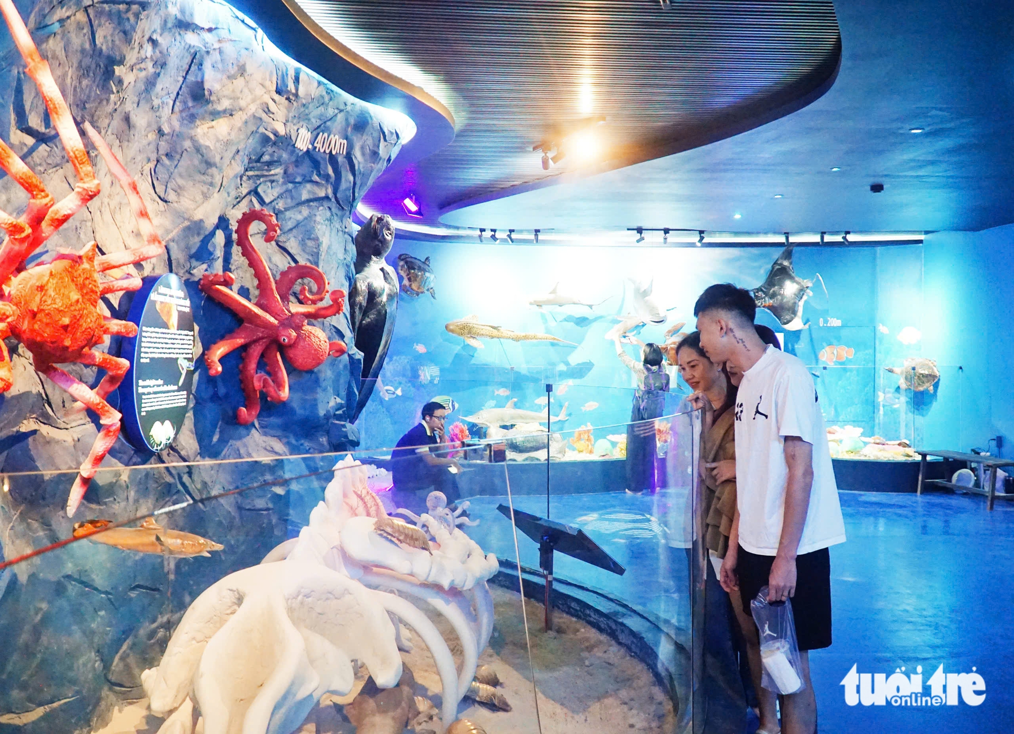 探索芽庄海洋生物空间，深度达6000米