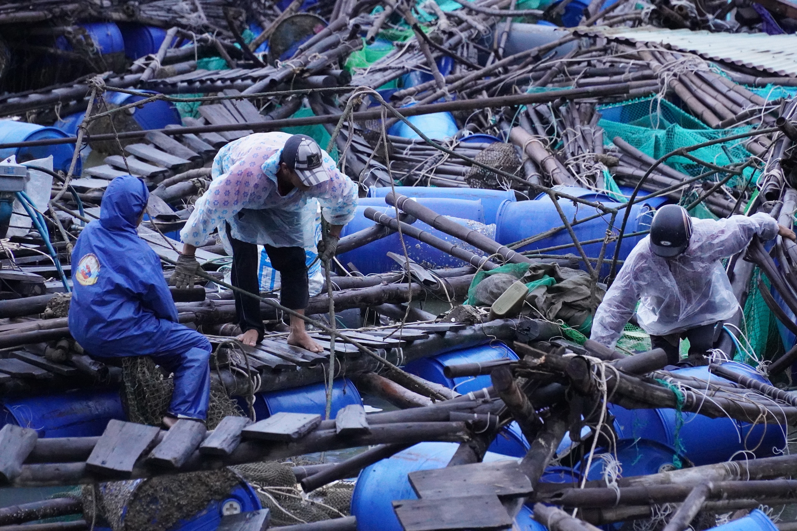 富安省桥下鱼排破碎近景