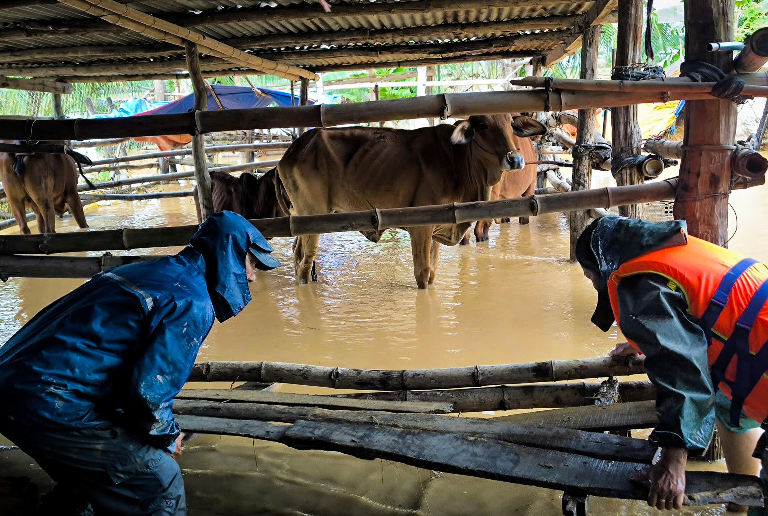 今日天气 22-11：从广义到多乐和庆和仍有降雨