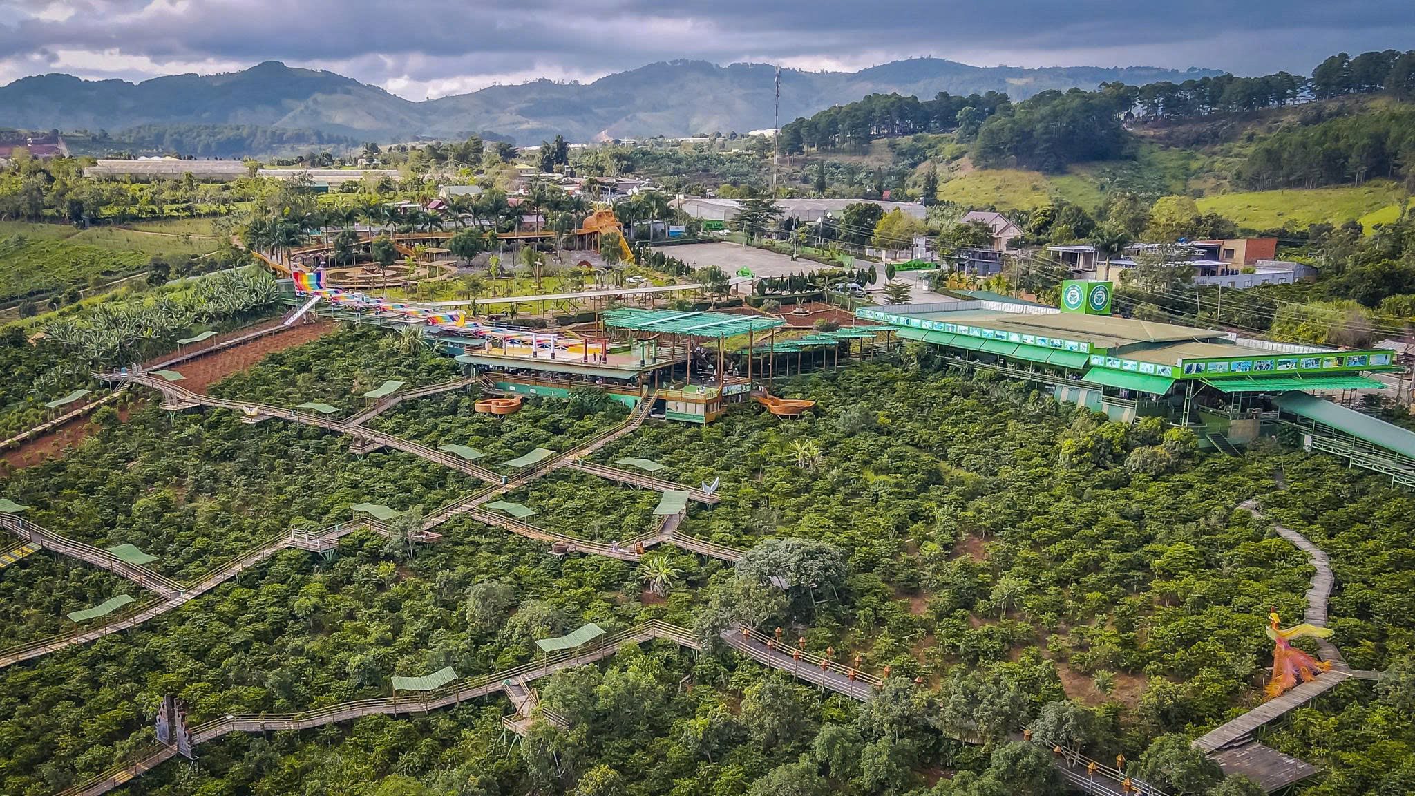 梅林咖啡花园110,000越南盾的咖啡杯有不寻常之处吗？