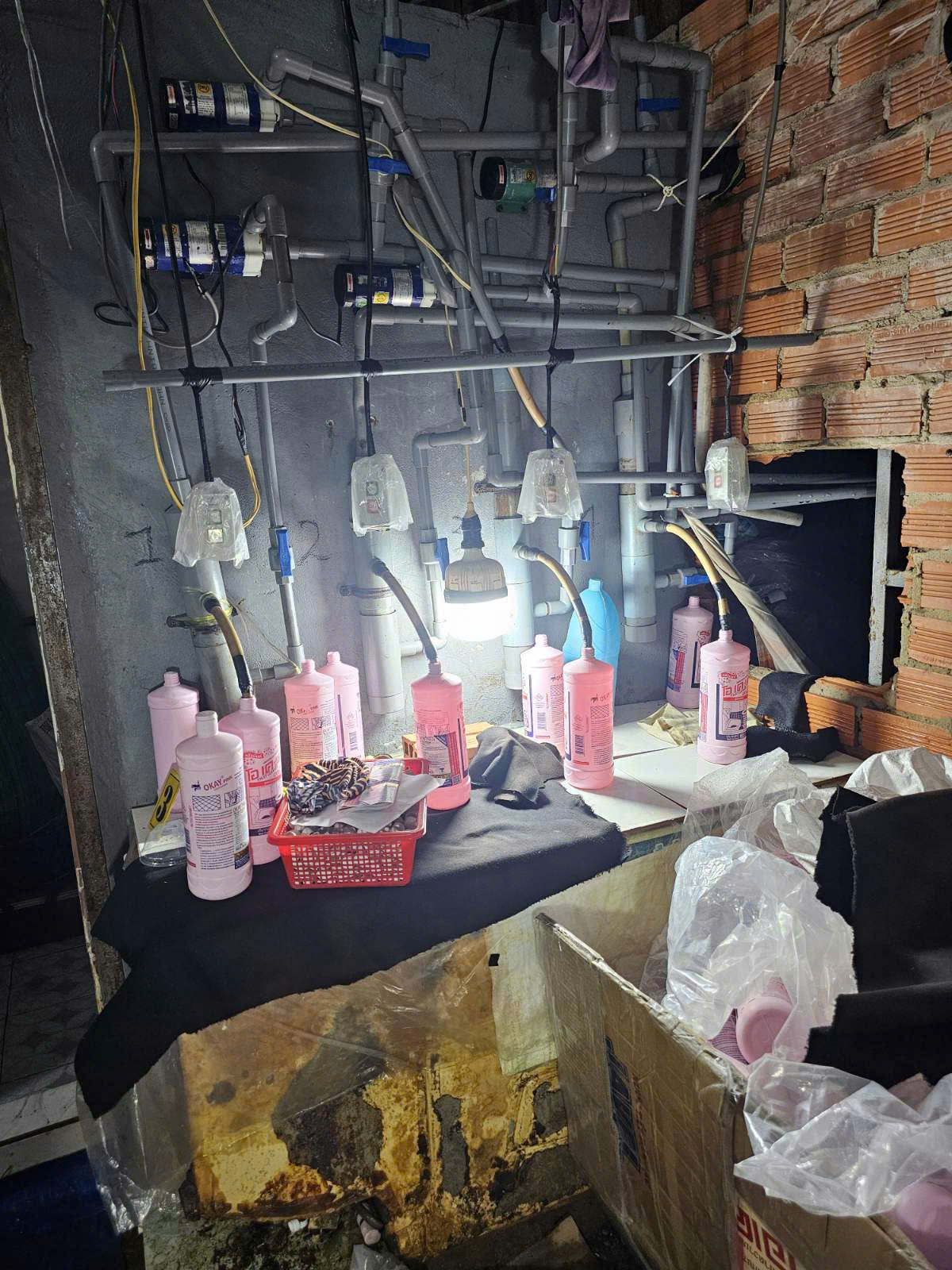 胡志明市警方摧毁生产假冒马桶清洁剂和洗衣液的团伙
