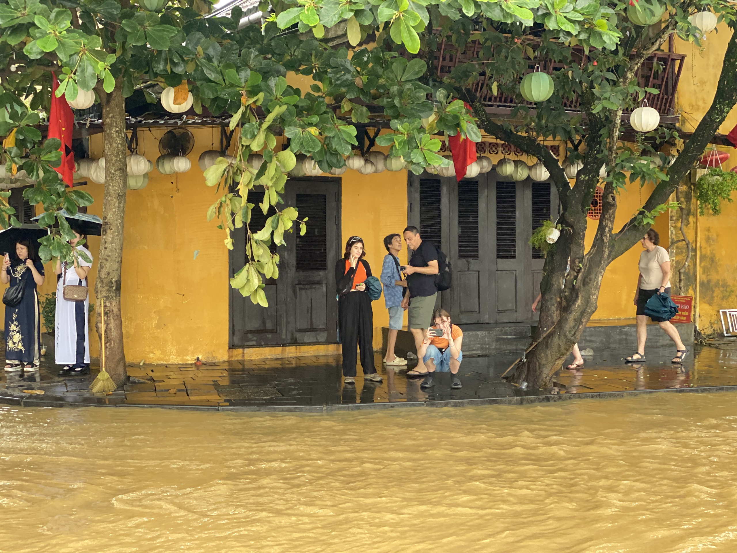 昨天还泥泞不堪，今天会安古镇已亮灯迎客