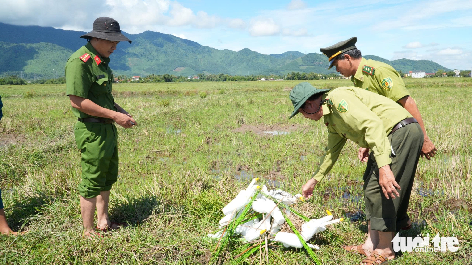 鸟类在迁徙路上的悲惨死亡