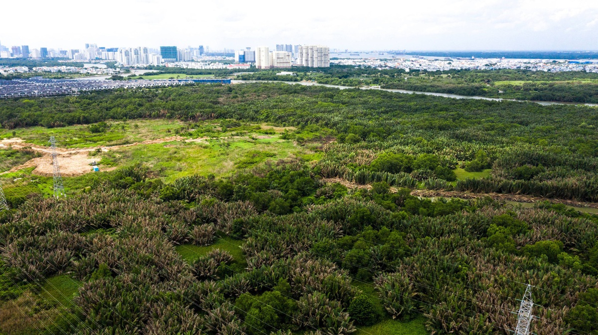 国强嘉莱计划出售子公司以偿还张美兰案数千亿债务