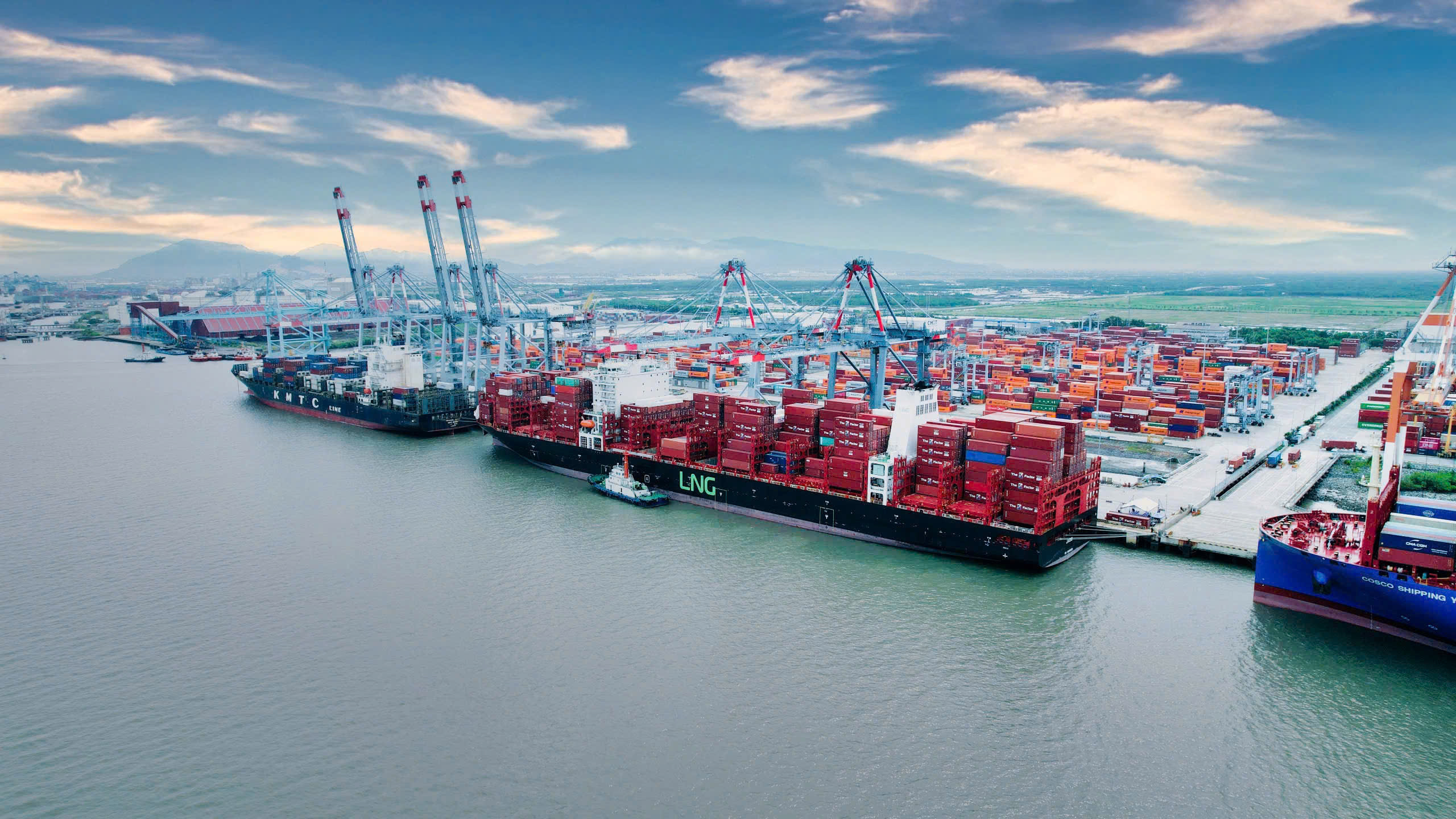 修改、补充第98号决议：自由贸易区的经济突破点