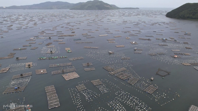 龙虾之都在历史性洪水中被摧毁