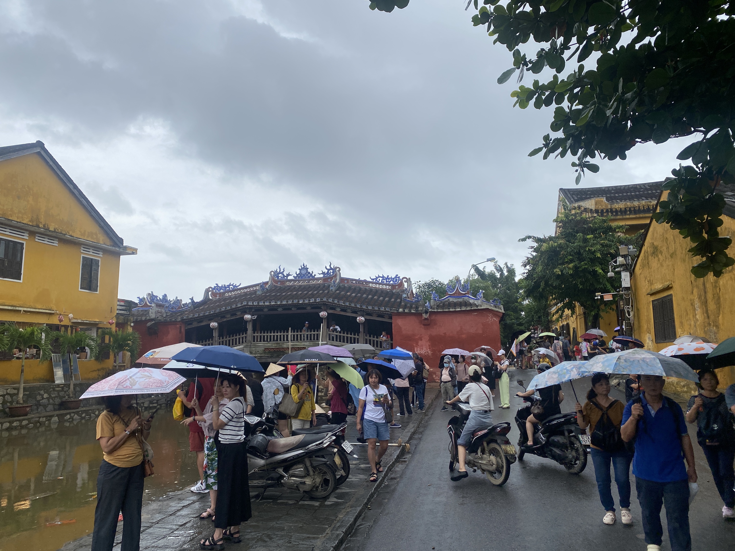 昨天还泥泞不堪，今天会安古镇已亮灯迎客