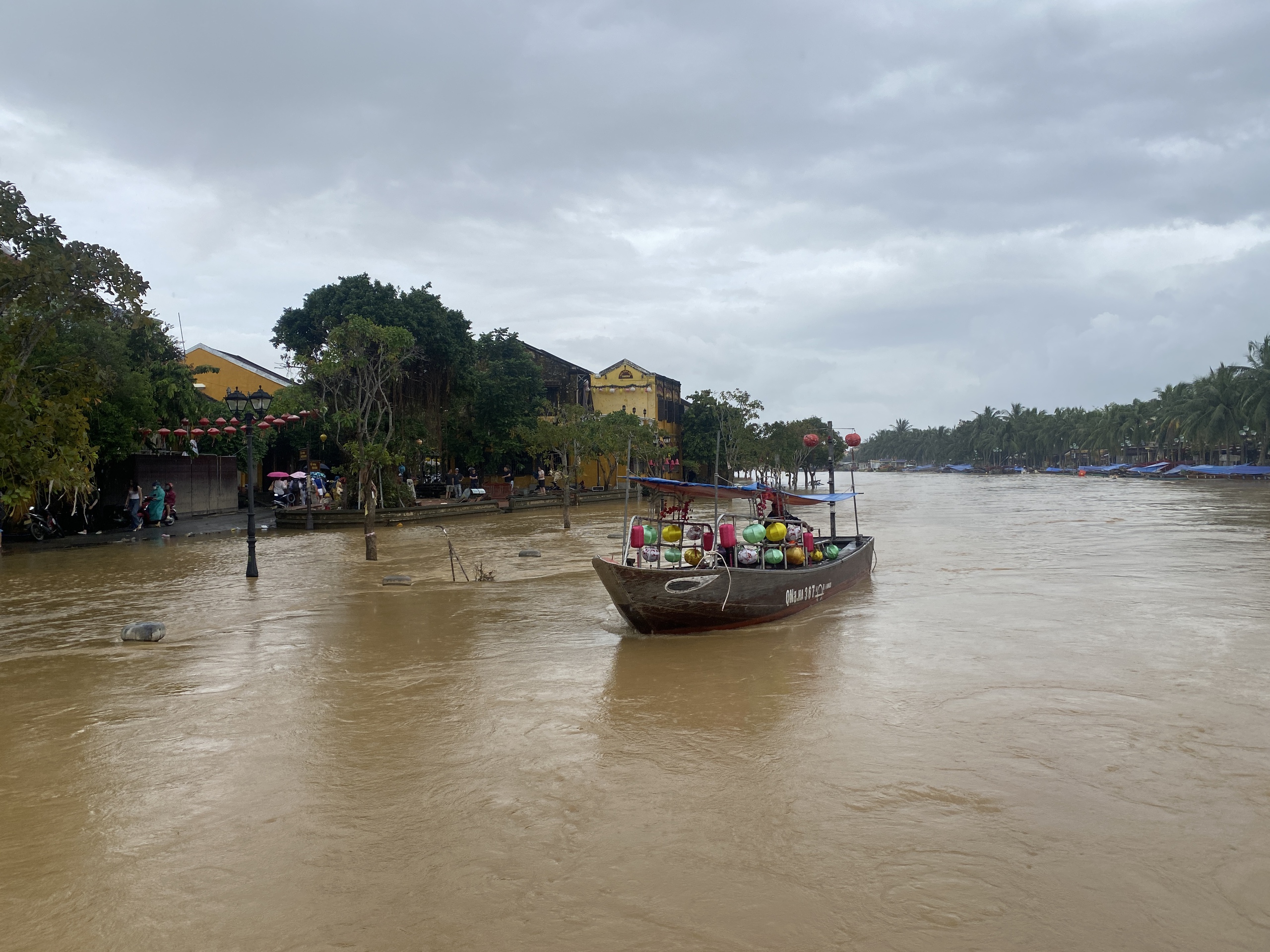 昨天还泥泞不堪，今天会安古镇已亮灯迎客