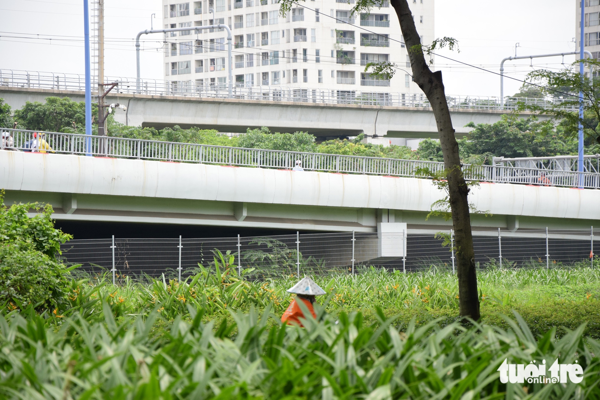 从永玉桥火灾事件看，胡志明市桥下现状如何？