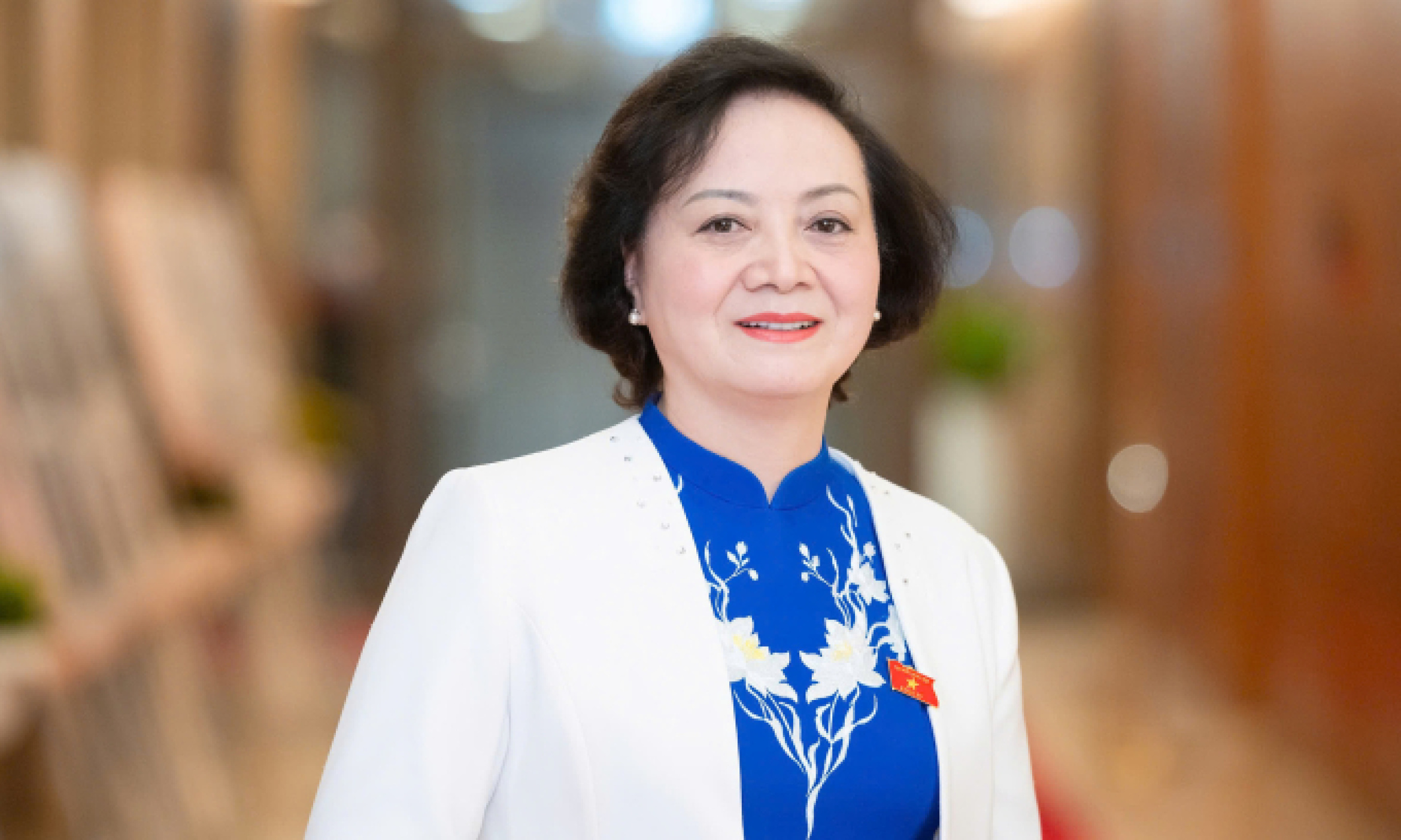 范氏青茶女士和胡国勇先生担任副总理职务