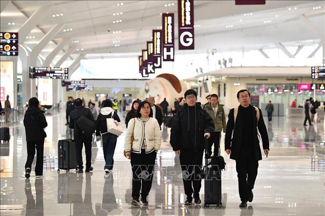 越南游客在办理中国入境卡时需警惕诈骗网站