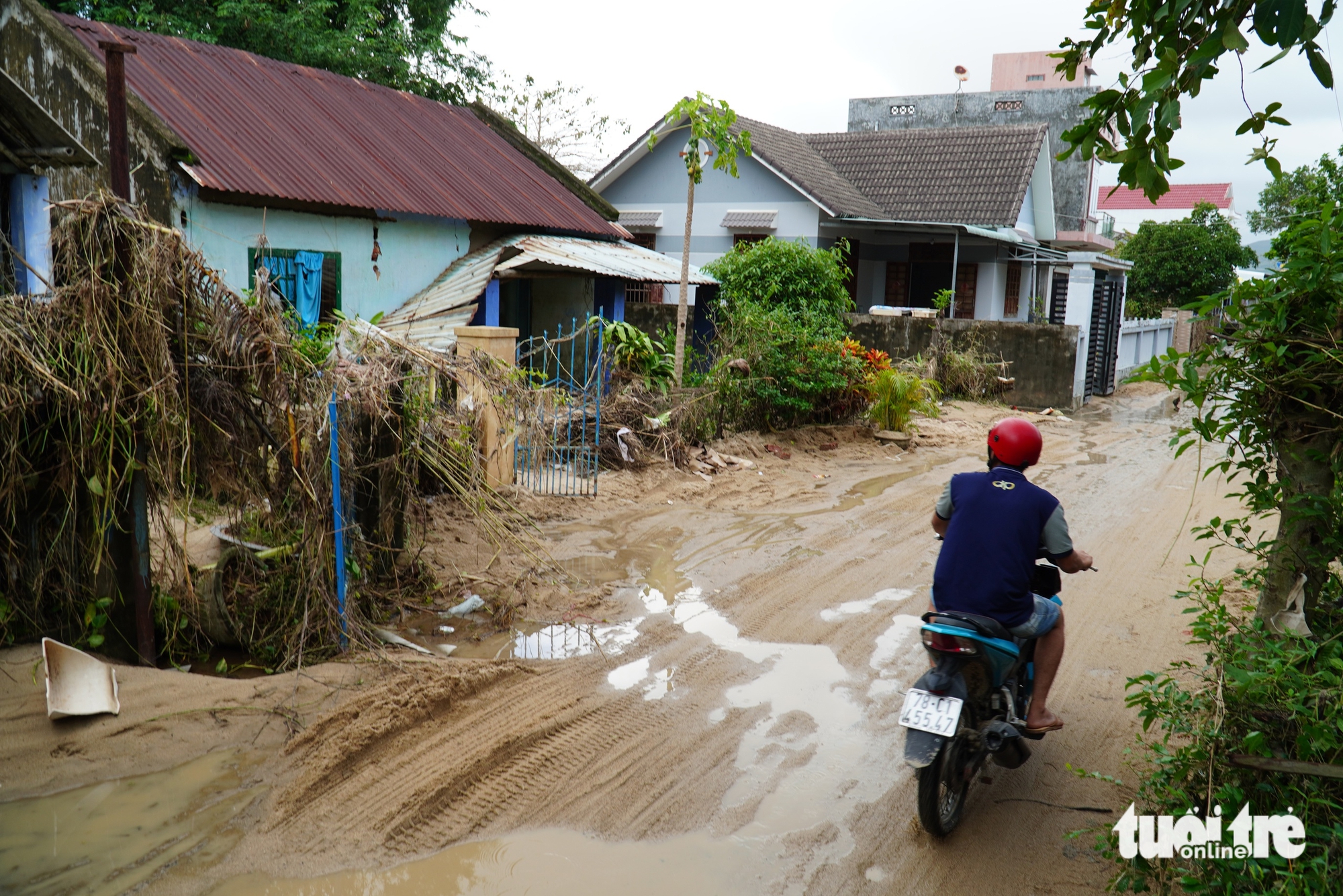 富安省旧区水退后房屋倒塌，道路出现“蛙嘴”裂缝