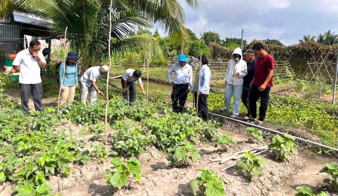 不使用化学肥料和农药种植蔬菜水果的农民