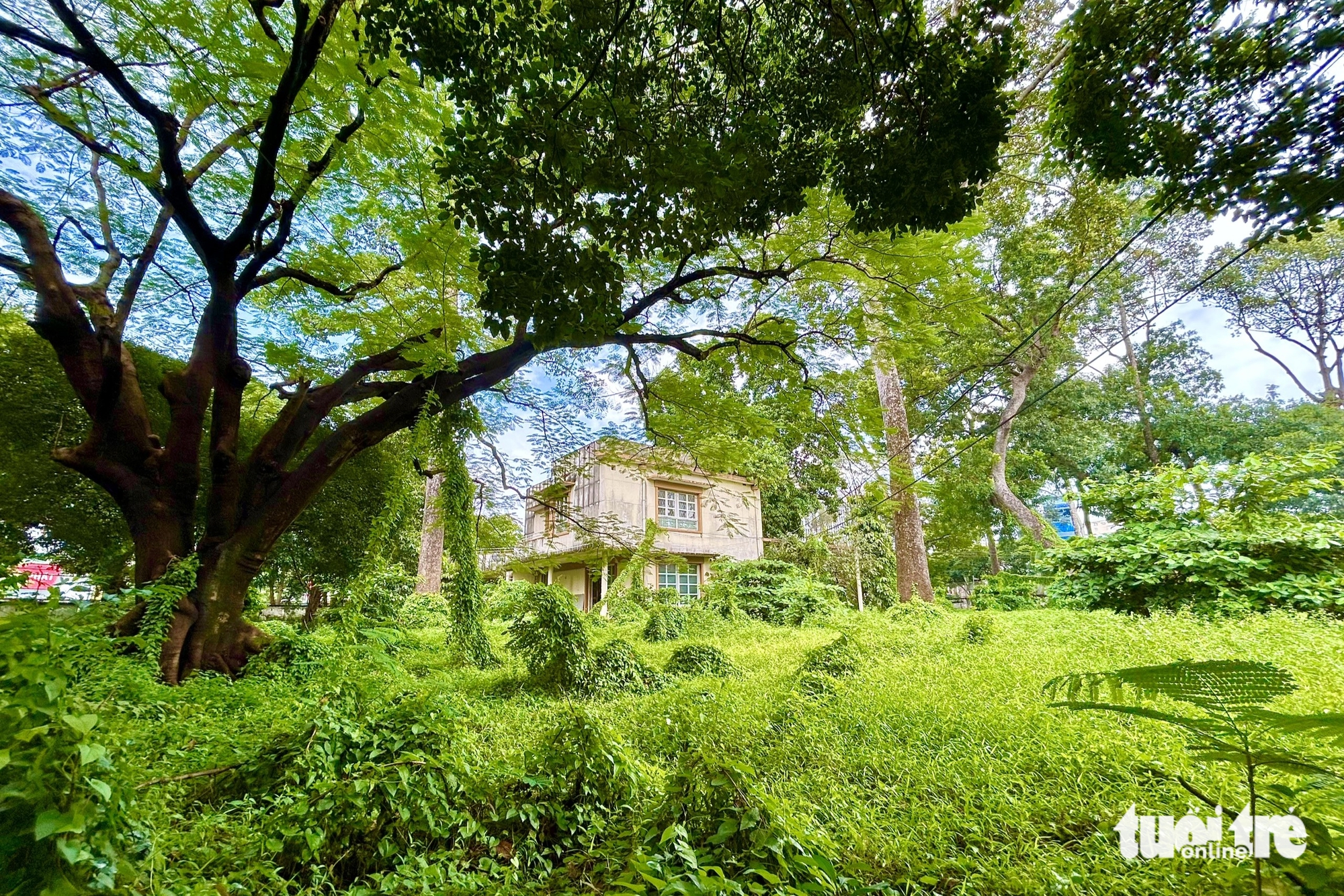 正在清理李太祖1号地块，建设象征团结战胜COVID-19的工程