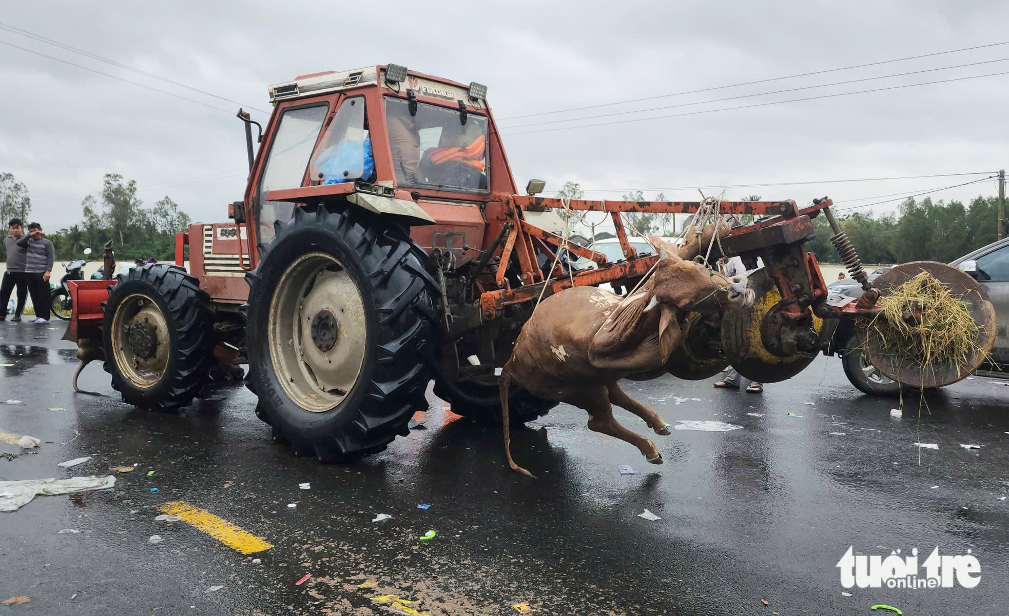 令人心碎的画面，从和盛洪水中心传来的悲痛