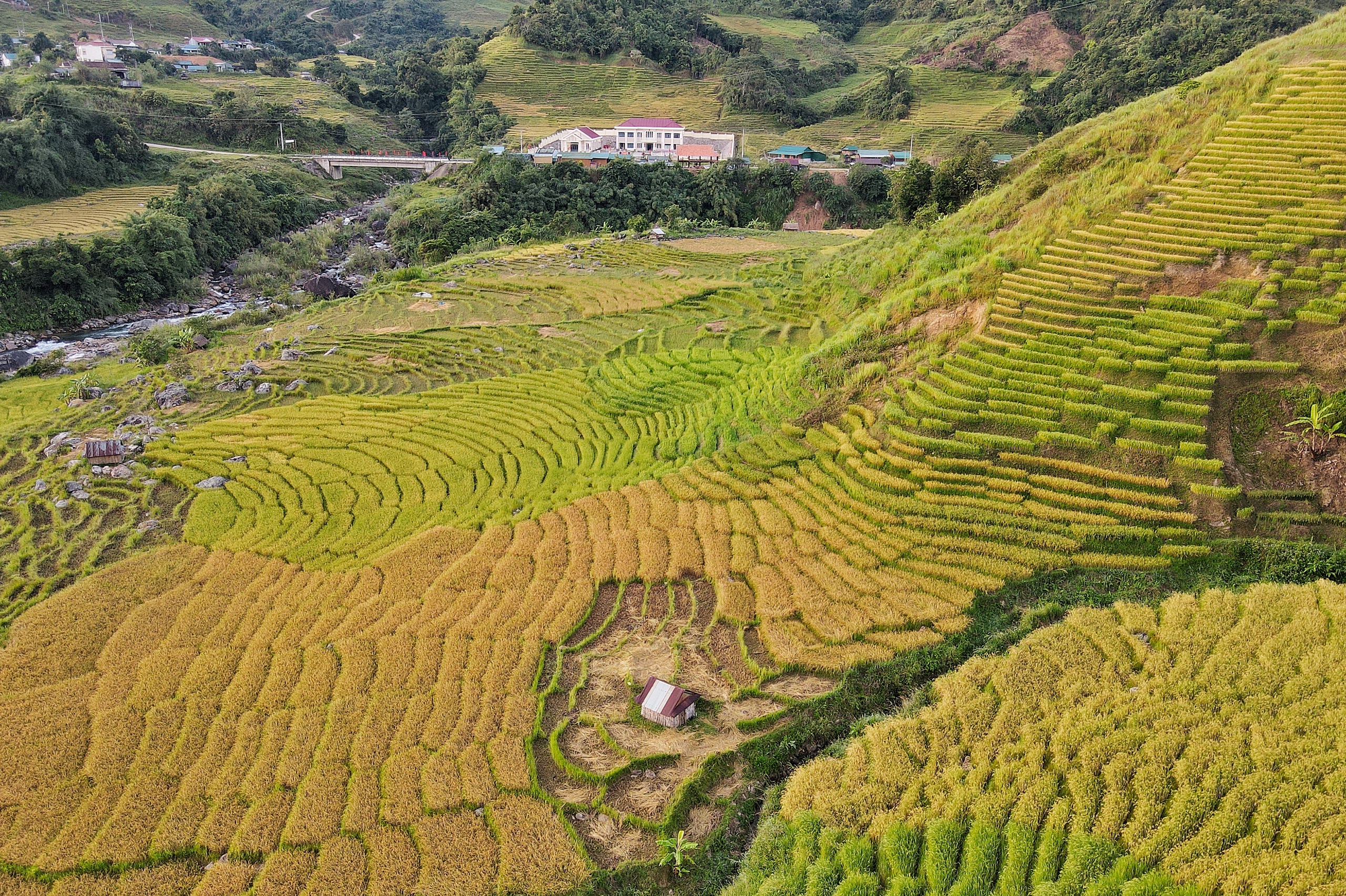 玉岭的金色季节，广南大森林中的绝美画卷