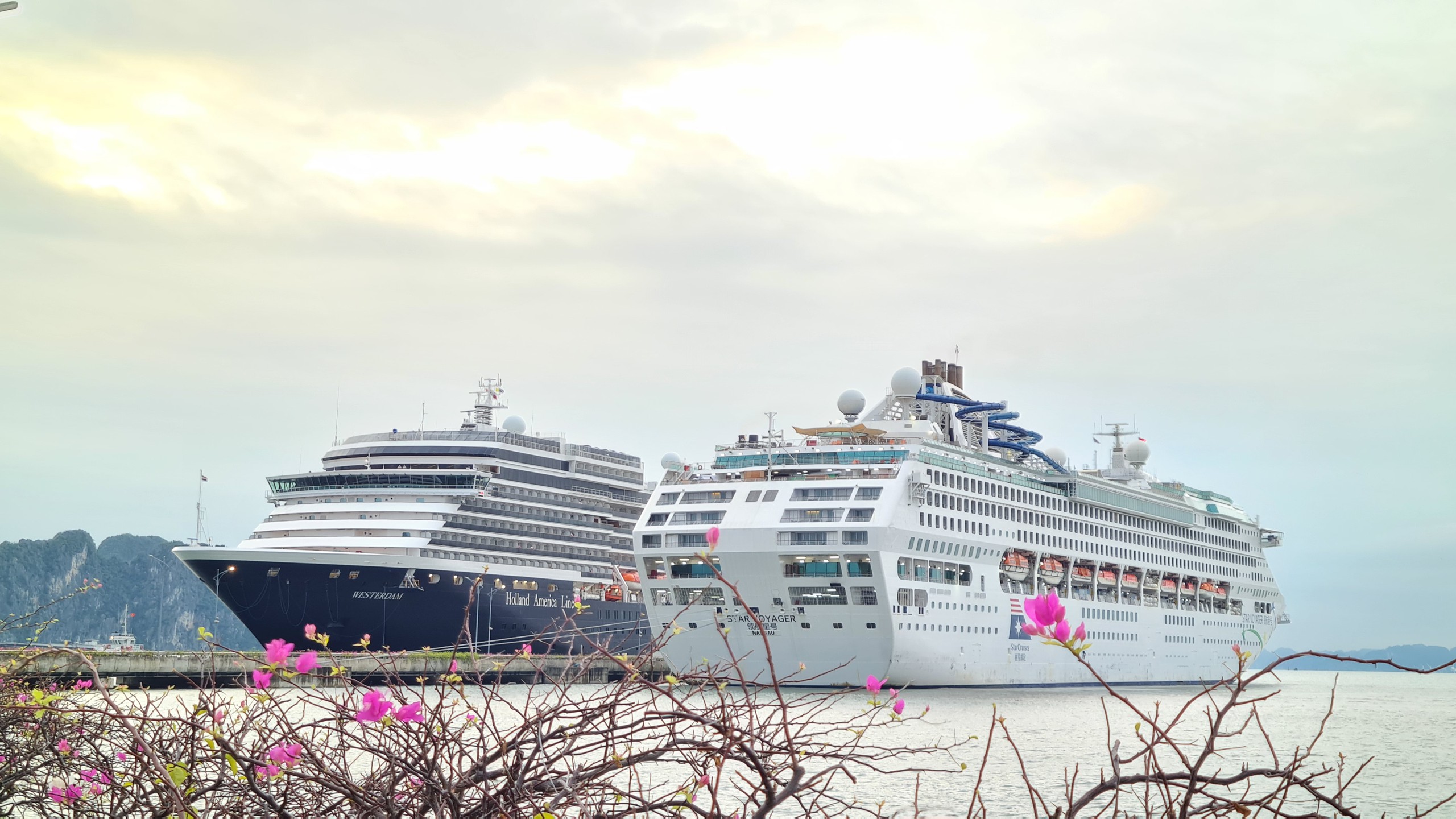 下龙迎来两艘超级游轮超过3100名国际游客