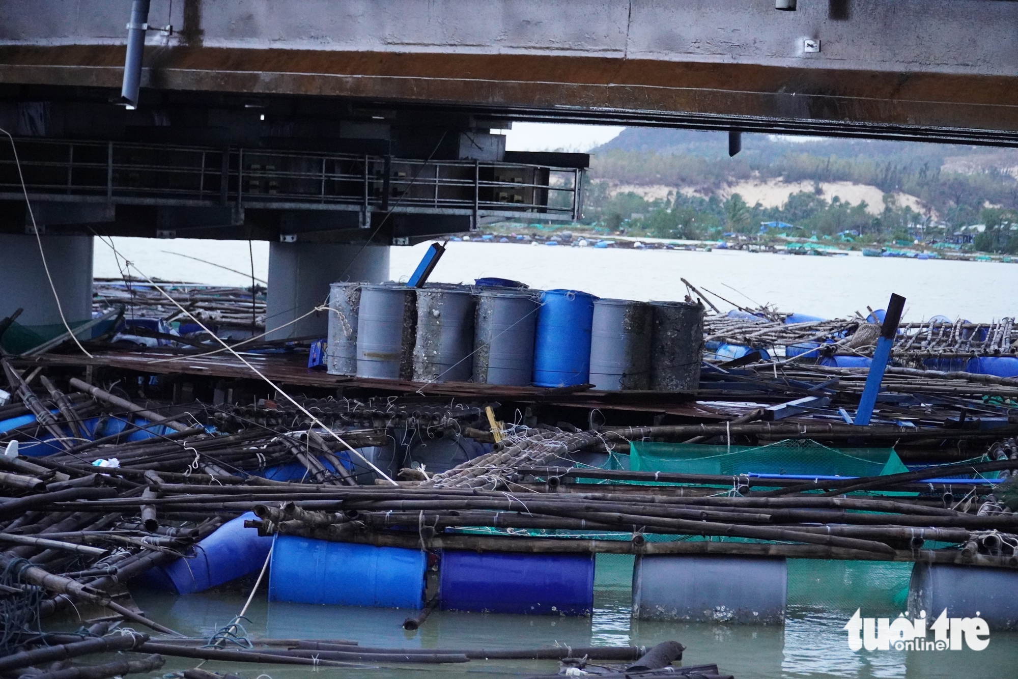 富安省桥下鱼排破碎近景
