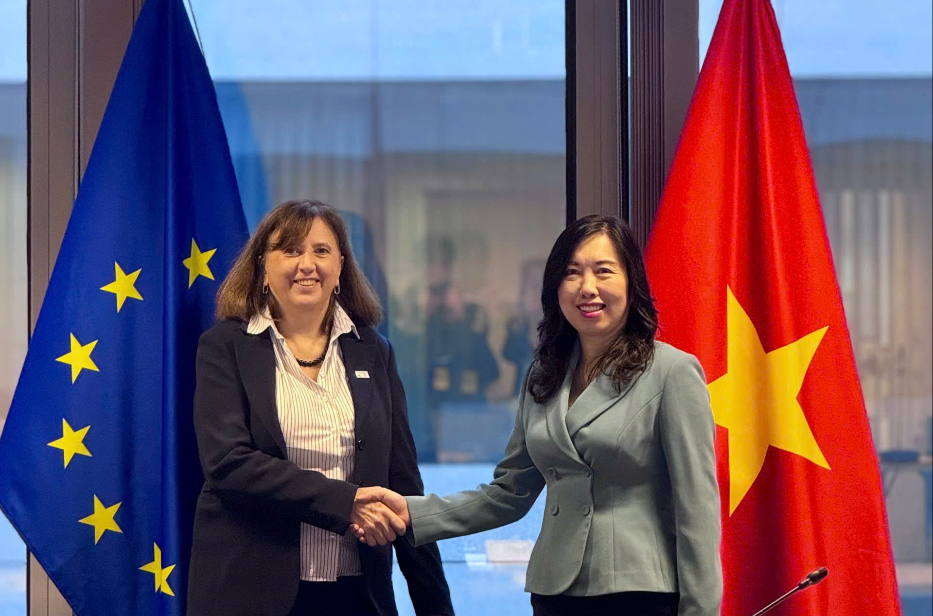 欧盟向越南提供85万欧元援助以应对洪灾后果