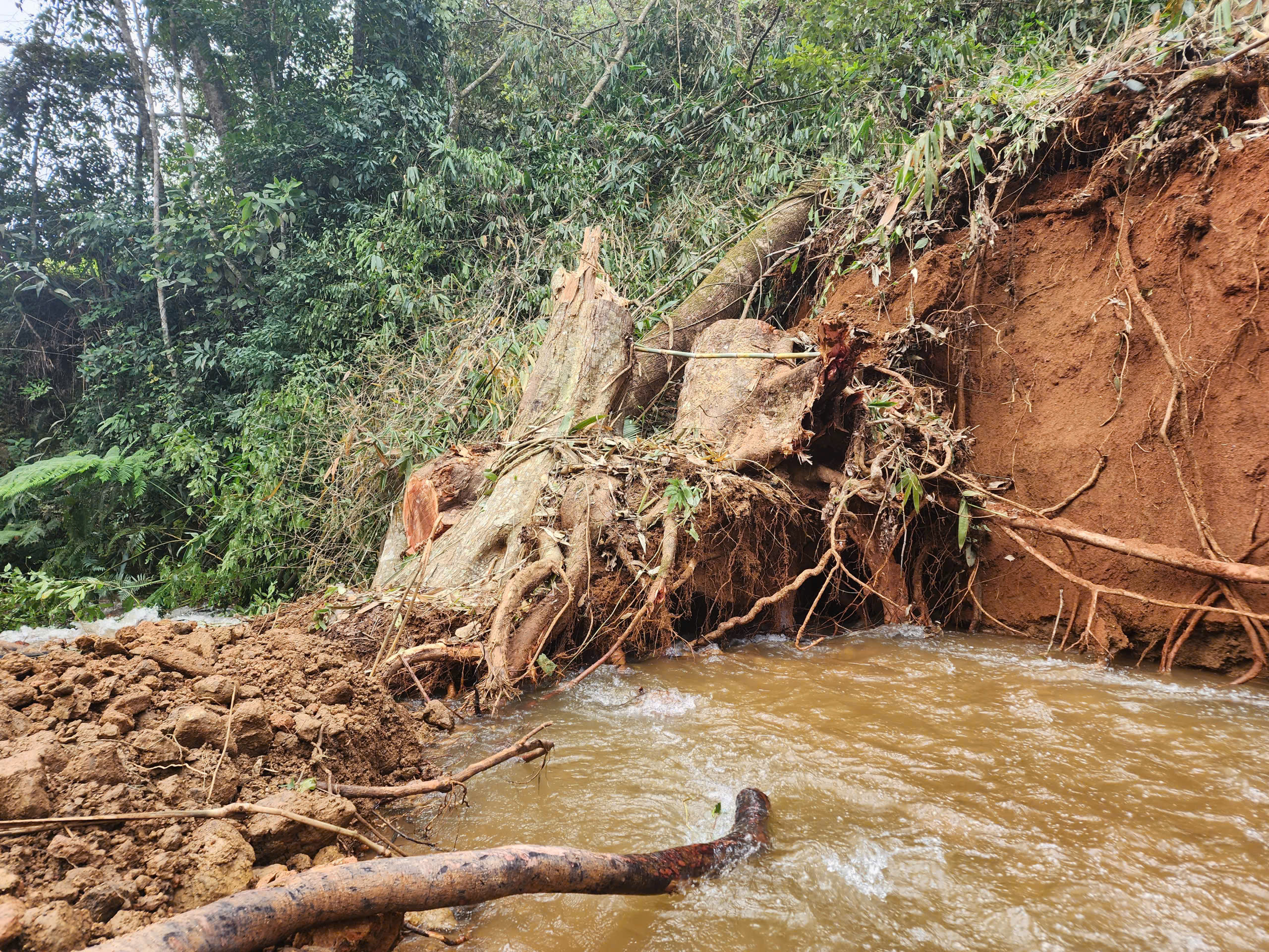 Măng Đen的Pa Sĩ瀑布区因暴雨洪水损毁，当地紧急关闭，未定重新开放日期