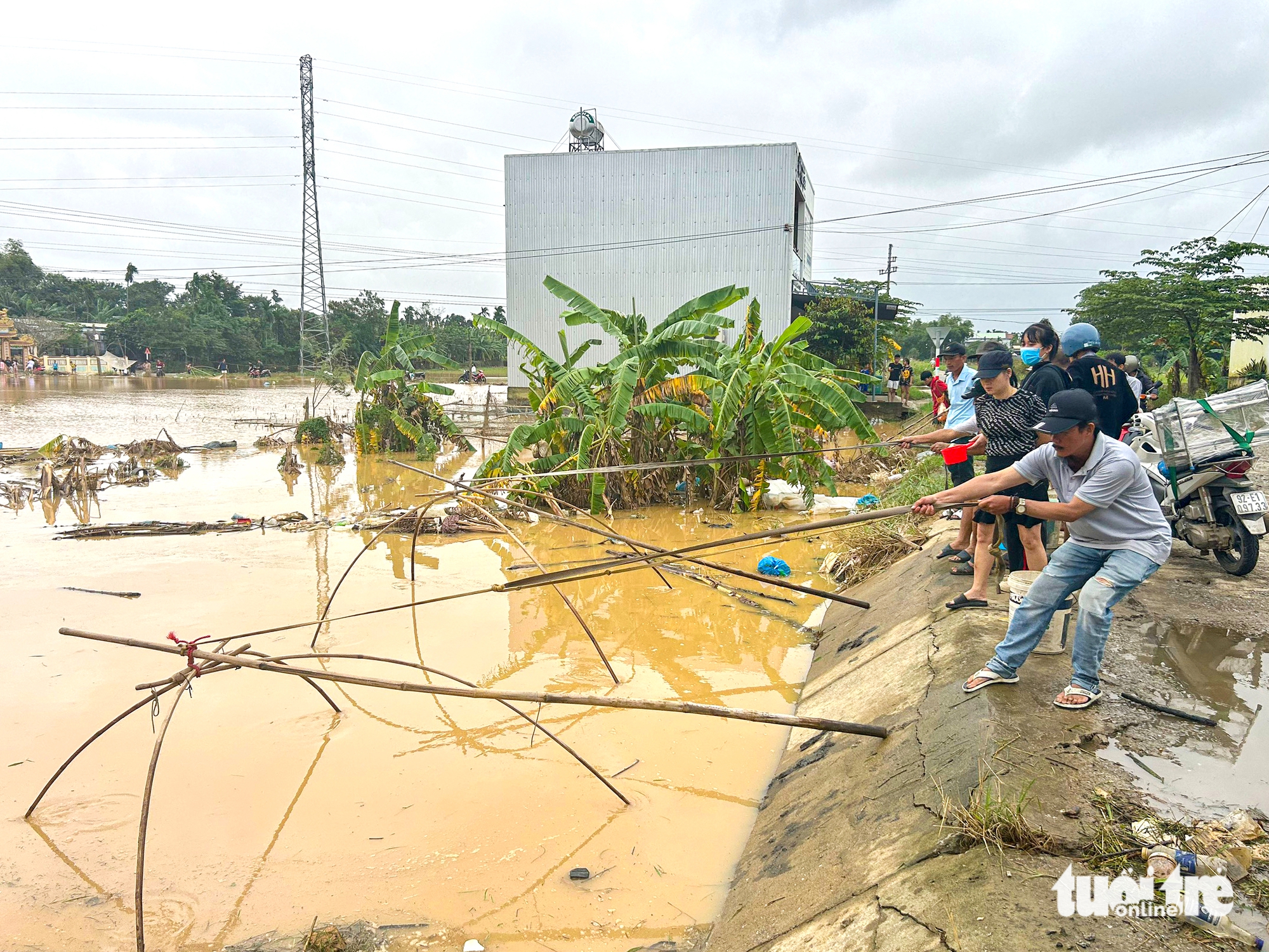 广南地区民众涌向田野拉'网'捕'群'鱼腌制姜黄
