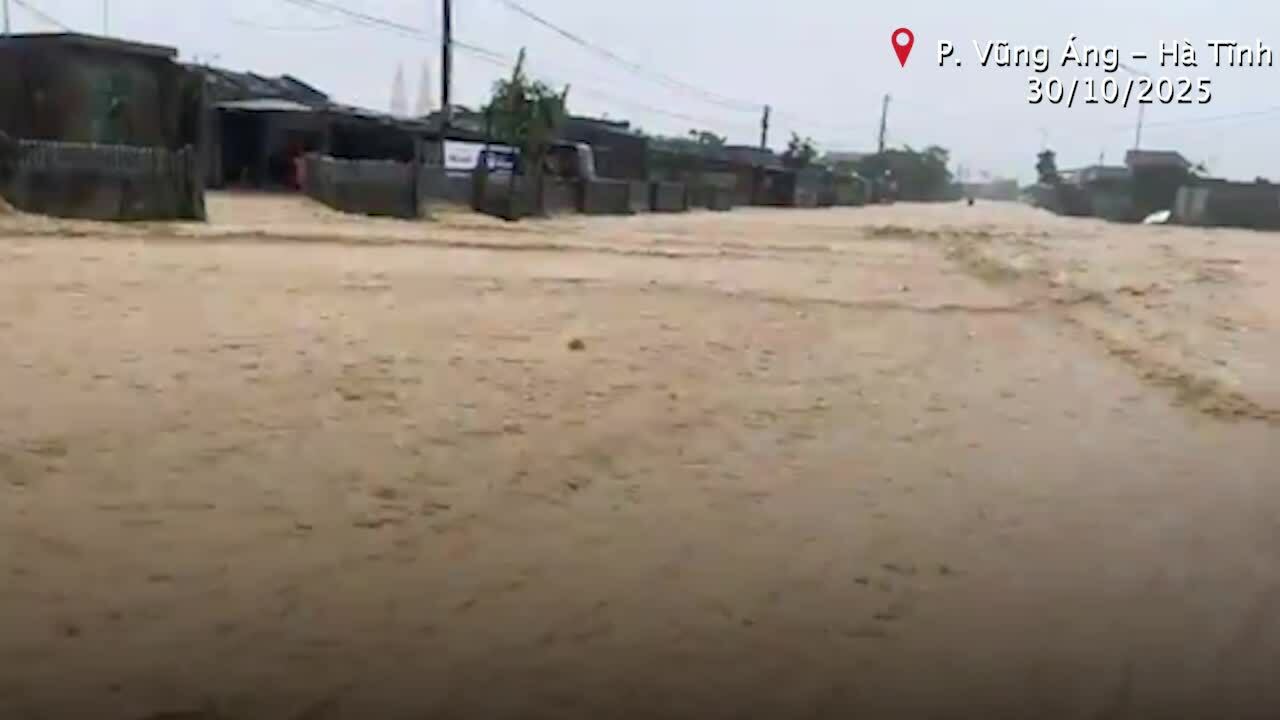 河静省多条道路因大雨被淹