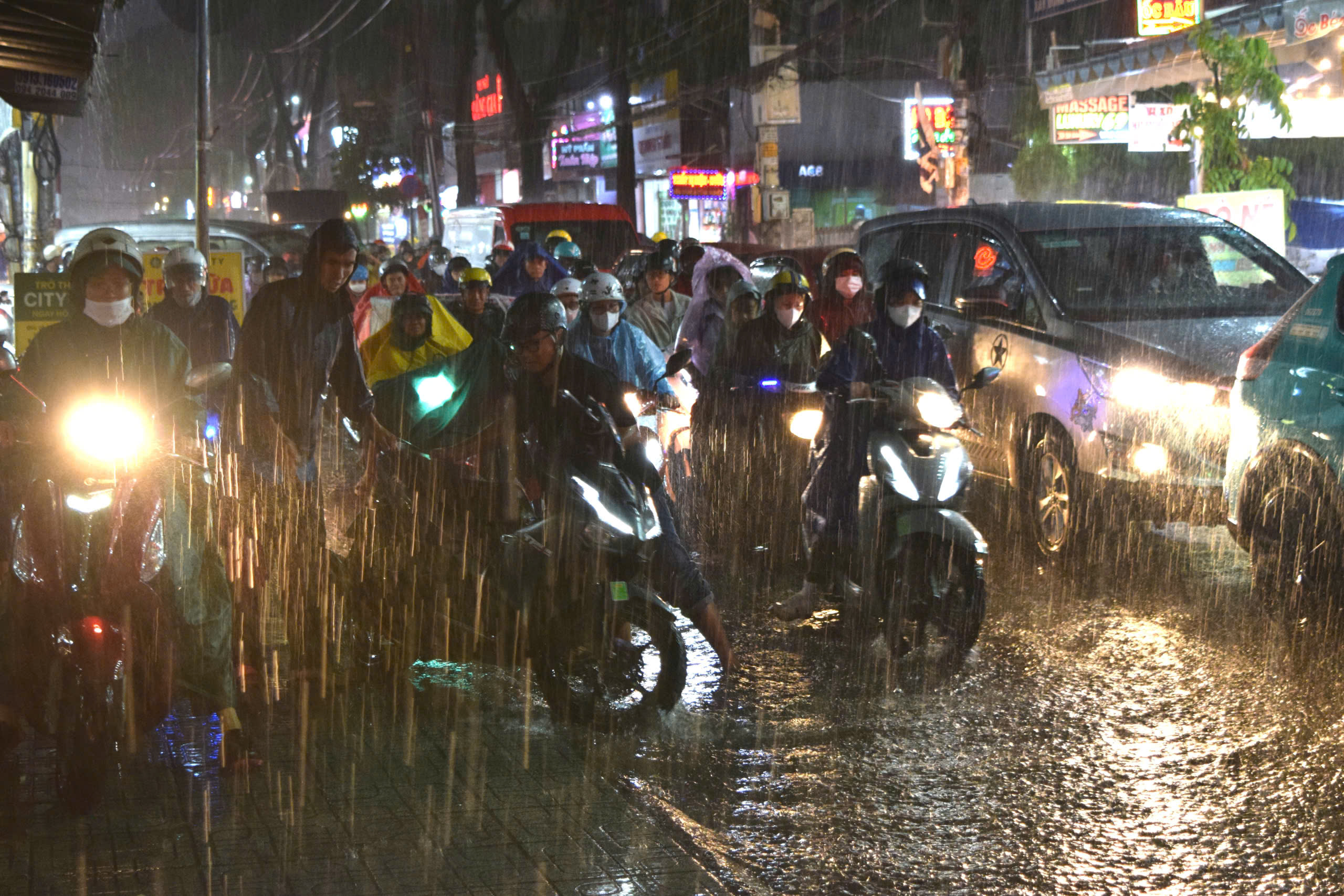胡志明市下班高峰时段降雨超过160毫米，树木倒塌