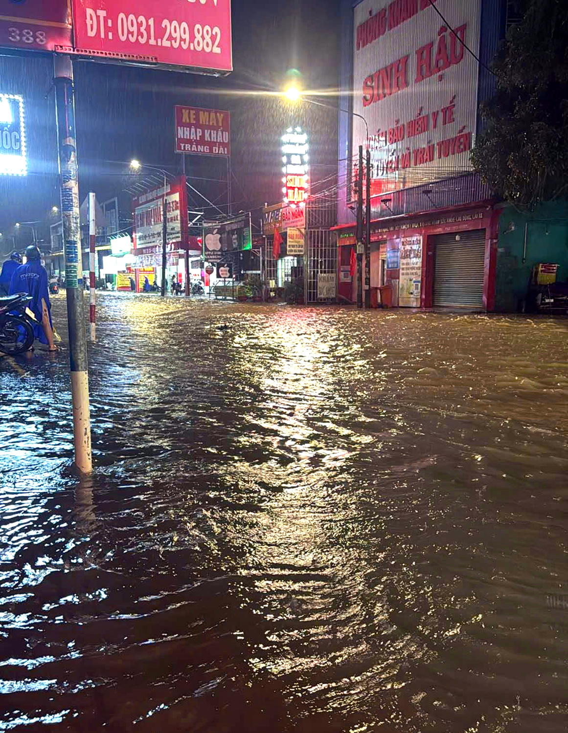 大雨倾盆而下，同奈省多条道路局部积水
