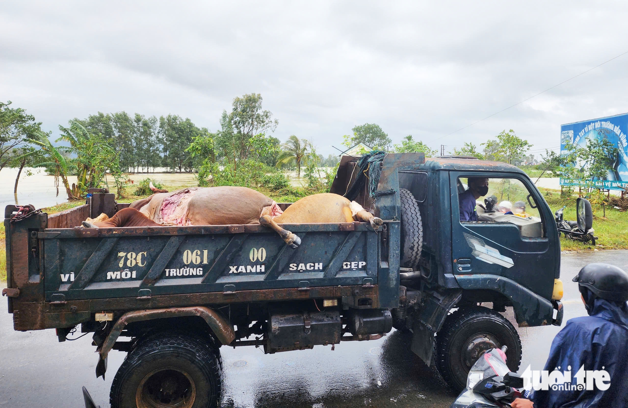 令人心碎的画面，从和盛洪水中心传来的悲痛