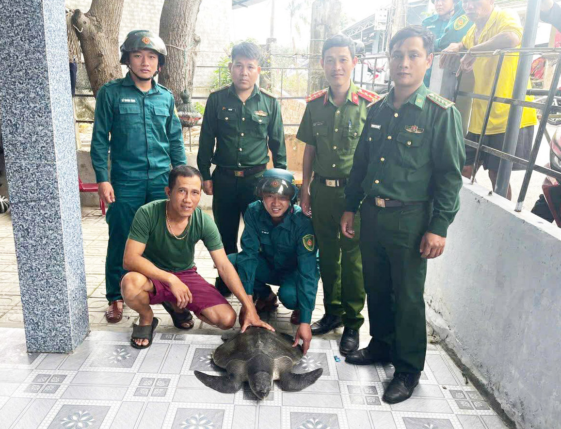 渔民渔网捕获17公斤稀有玳瑁龟