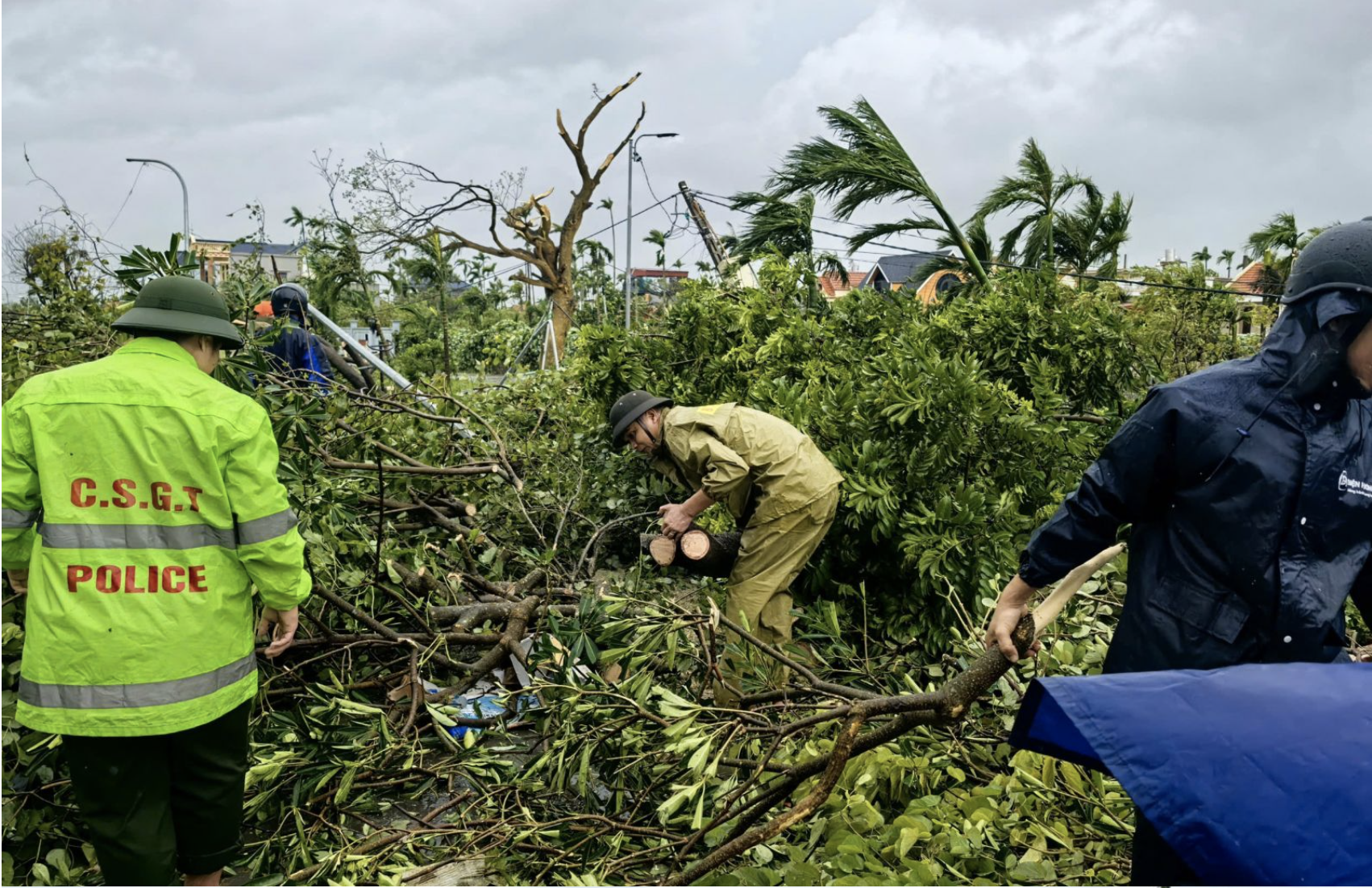 宁平省因台风Bualoi引发的风暴导致9人死亡