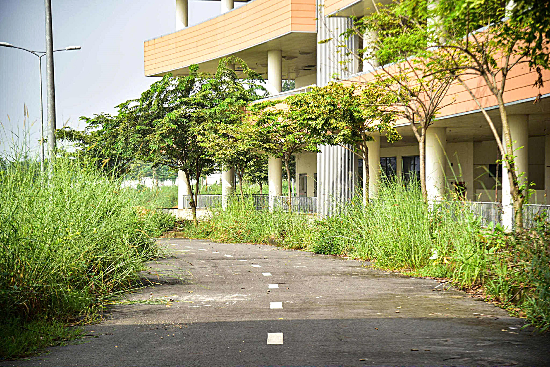 胡志明市最大的医院何时投入运营？