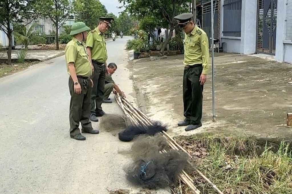 胡志明市森林保护部门拆除盛汇岛500米捕鸟网