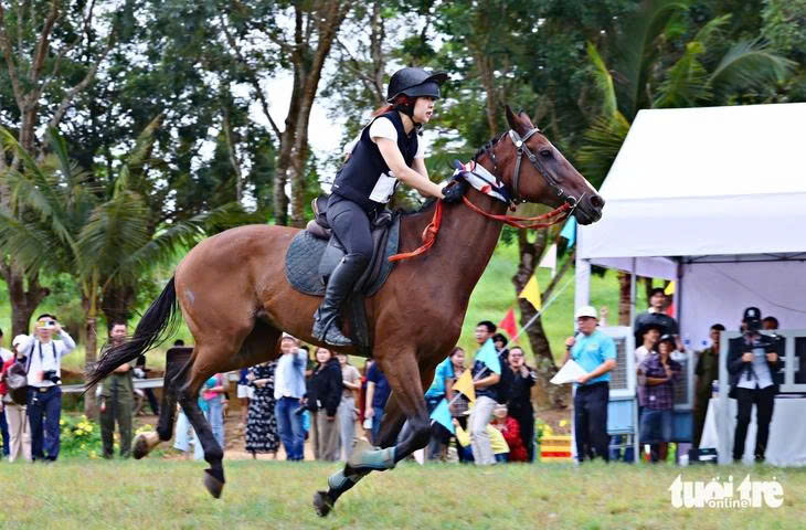 1月7日早间新闻：提议制定关于赛马、赛狗、国际足球博彩业务的新规定| 越南中文社｜越南新闻与政策信息中文平台