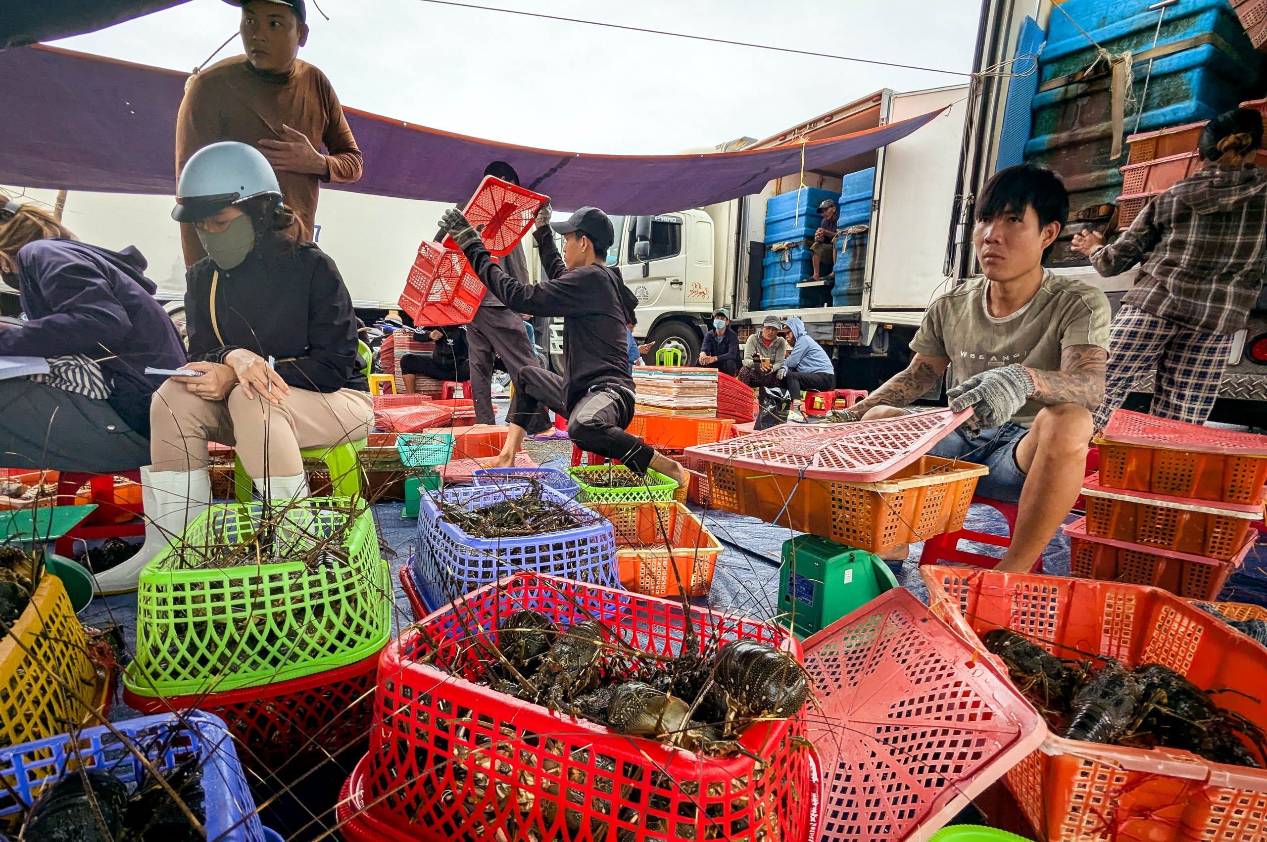 春岱湾龙虾之都'决心重建事业'在风暴洪水后