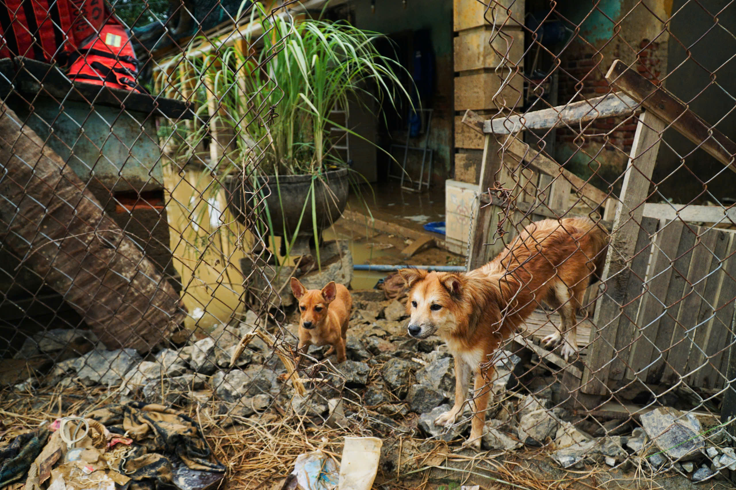 延田的心碎之痛：在凶猛洪水中失去亲人...