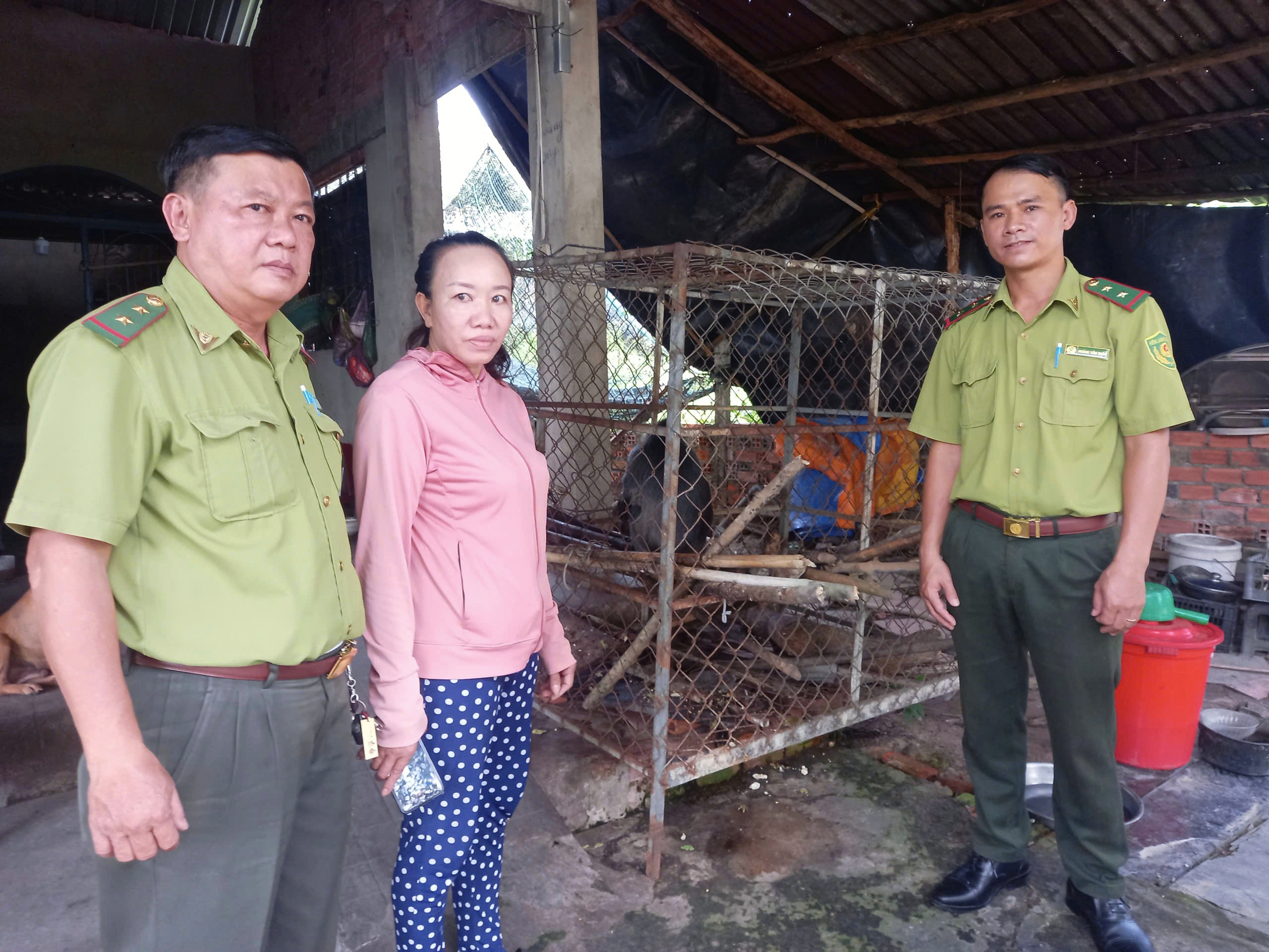 居民将西贡河上发现的珍贵银叶猴交给林业部门