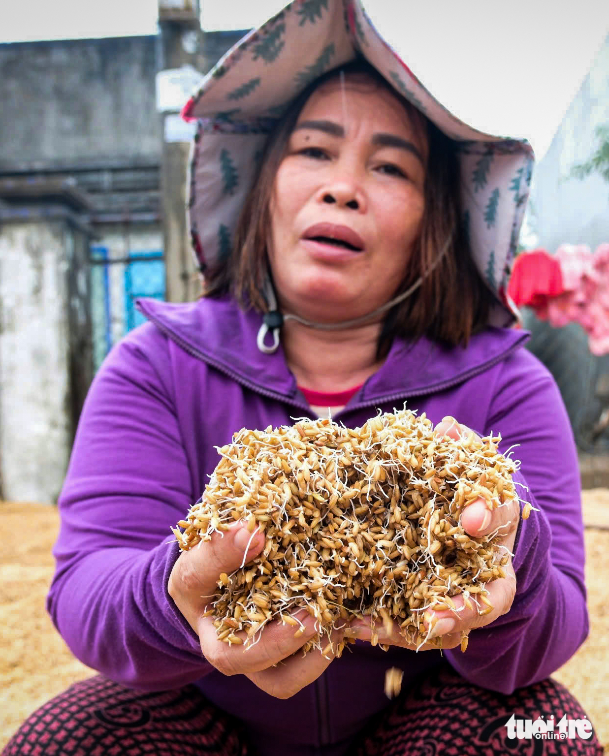 洪水逐渐退去，给富安旧洪区留下满目疮痍的景象
